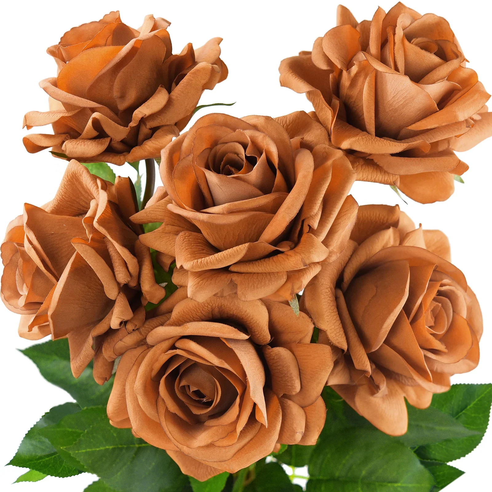Brown Rose Flower Seeds , Rare Chocolate-Toned Blooms, Easy to Grow, Non-GMO