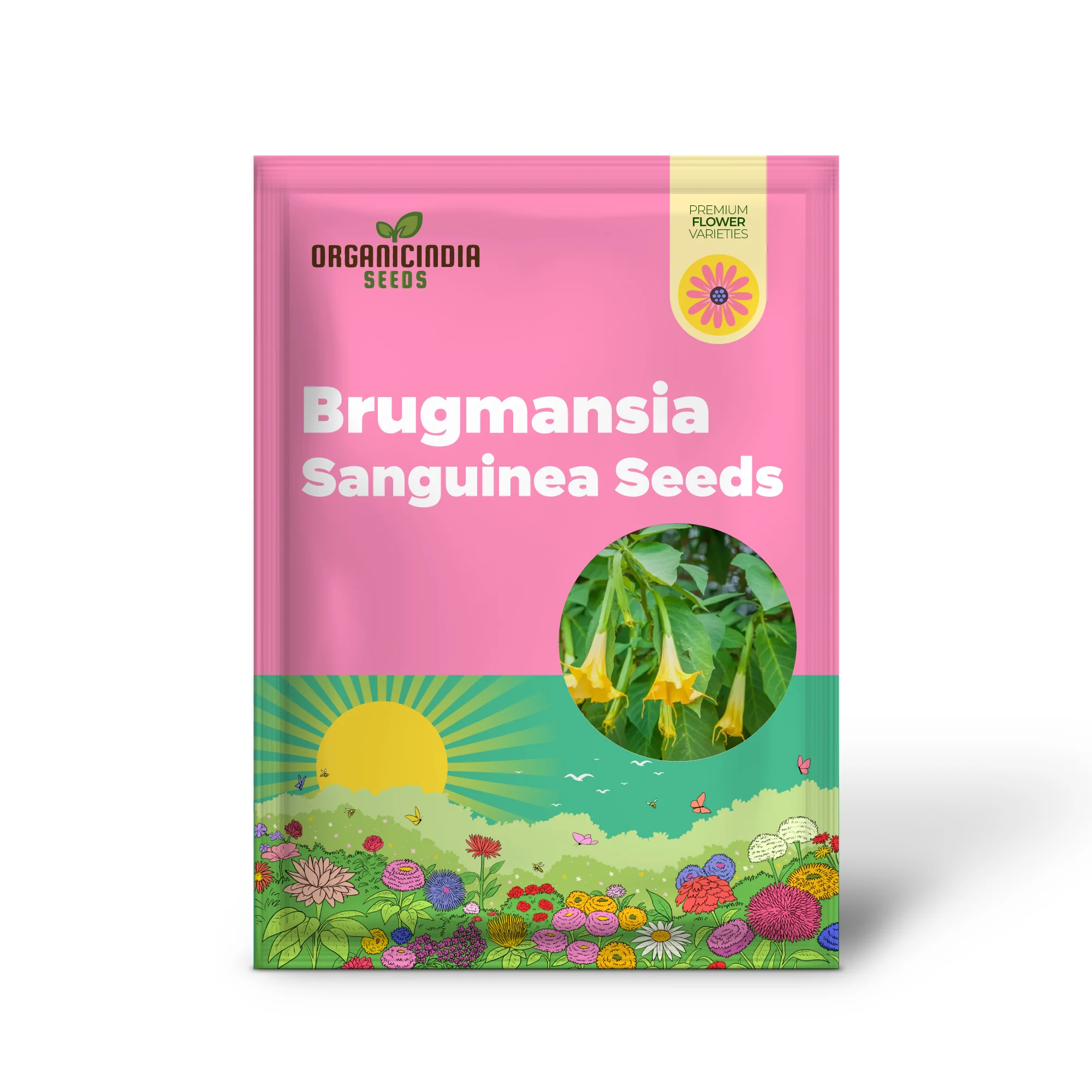 Brugmansia Sanguinea 'Aurea' Seeds For Planting, Illuminate Your Garden with Golden Beauty! - Image 2