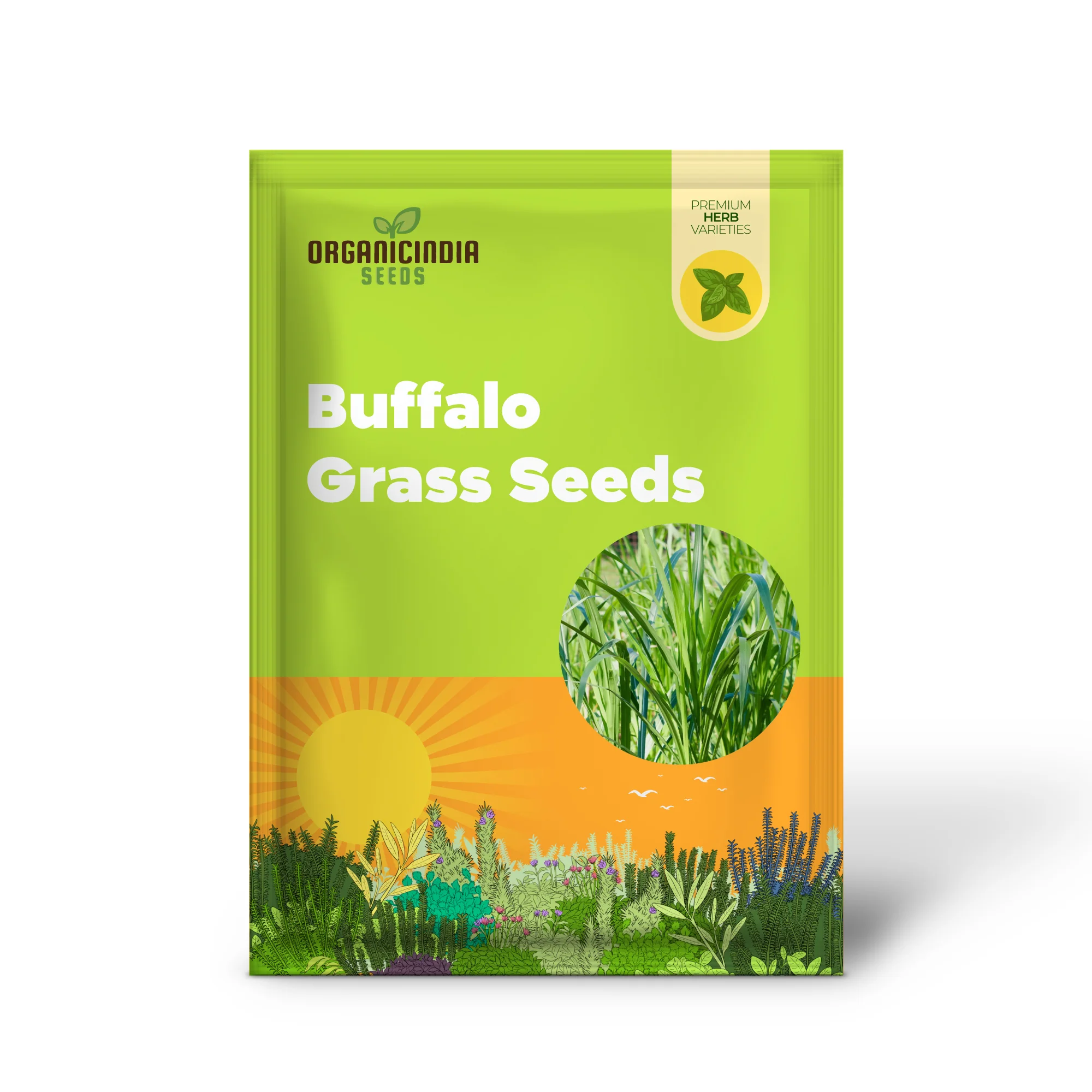Buffalo Grass Seeds Bouteloua Dactyloides, Warm Season Perennial, Low-Growing Dense Turf, Drought Tolerant, Low Maintenance - Image 2