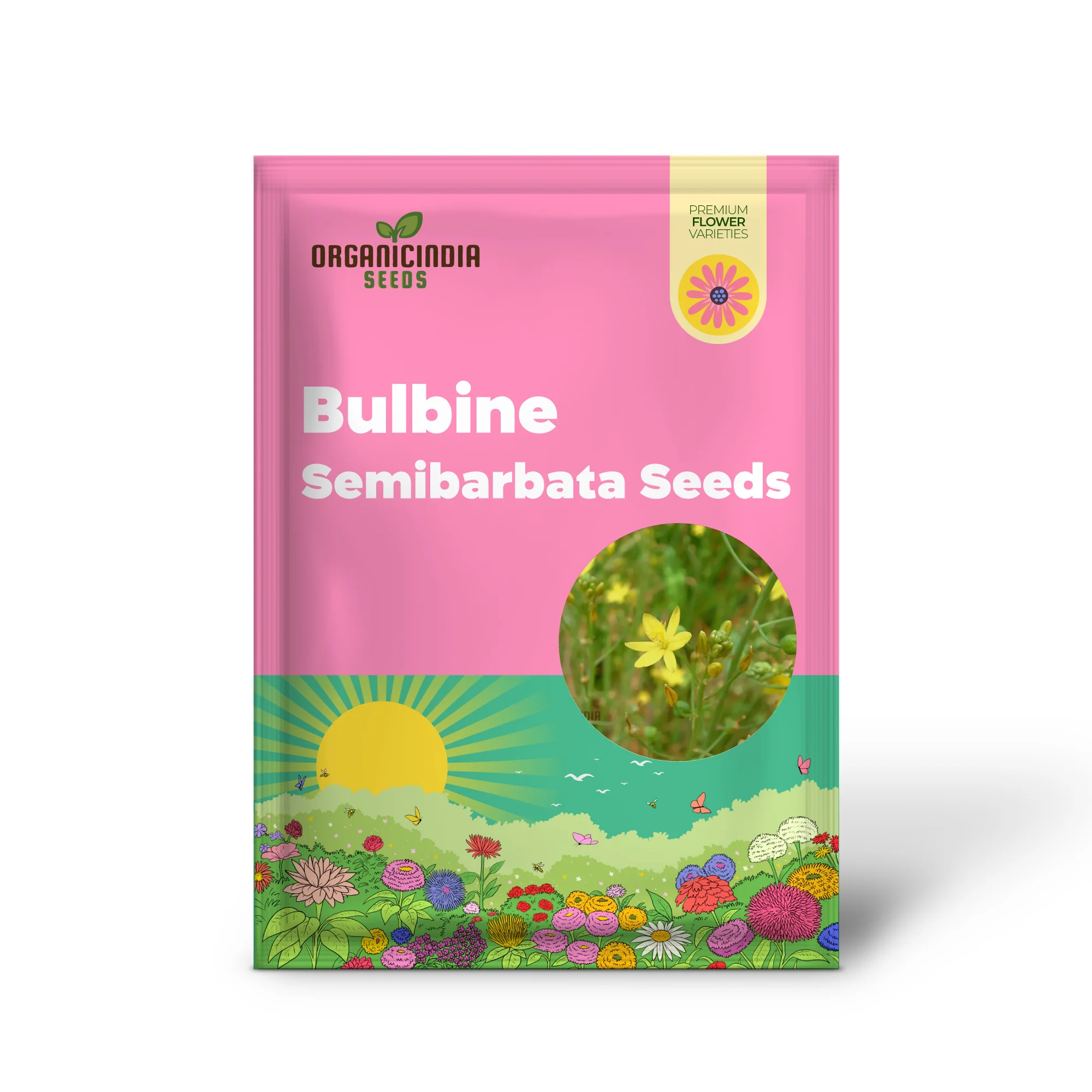 Bulbine Semibarbata Seeds – Rare Australian Succulent for Garden Planting - Image 2