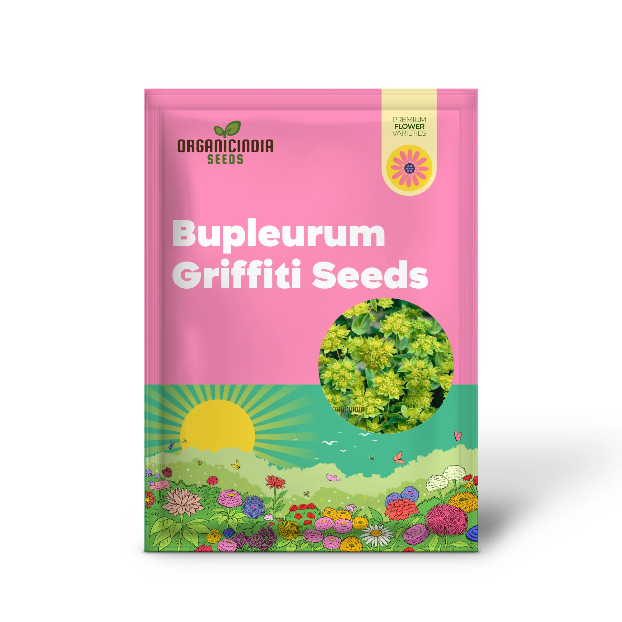 Bupleurum Griffiti Seeds: Elevate Your Gardening Experience with Unique and Beautiful Ornamental Plants! - Image 2