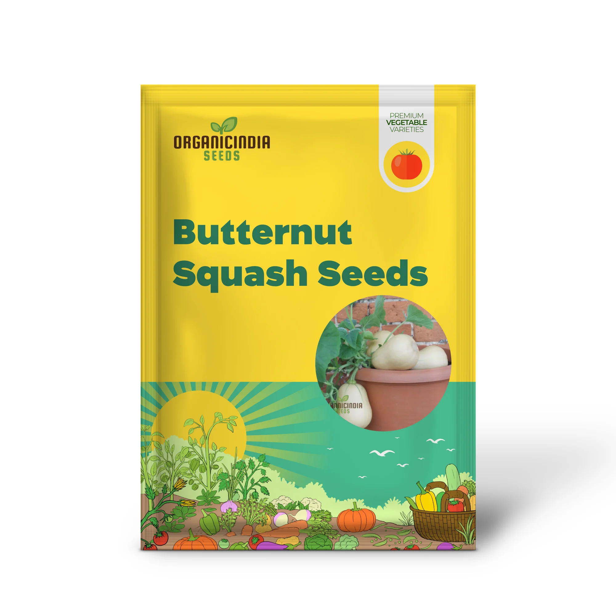 Butternut Squash Butterbush Seeds, Compact, High-Yield, Perfect for Small Gardens - Image 2