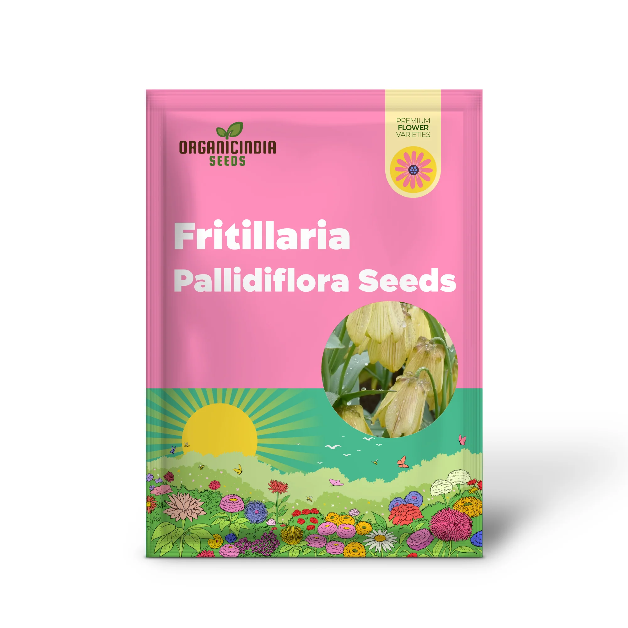 Buy Fritillaria Pallidiflora Seeds for Your Garden, Planting Made Easy - Image 2