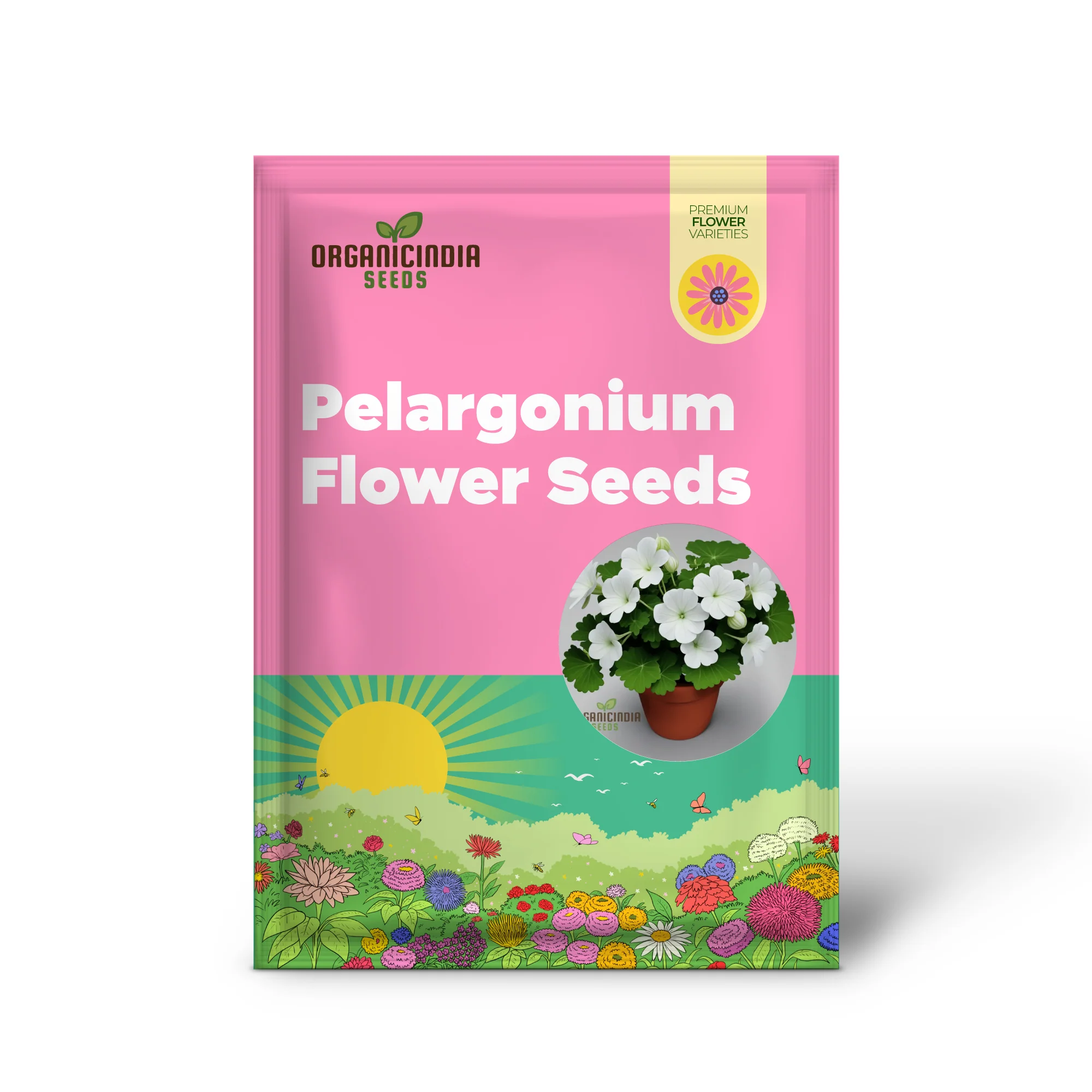 White Geranium Seeds – Pelargonium Seeds for Elegant Garden Blooms - Image 2
