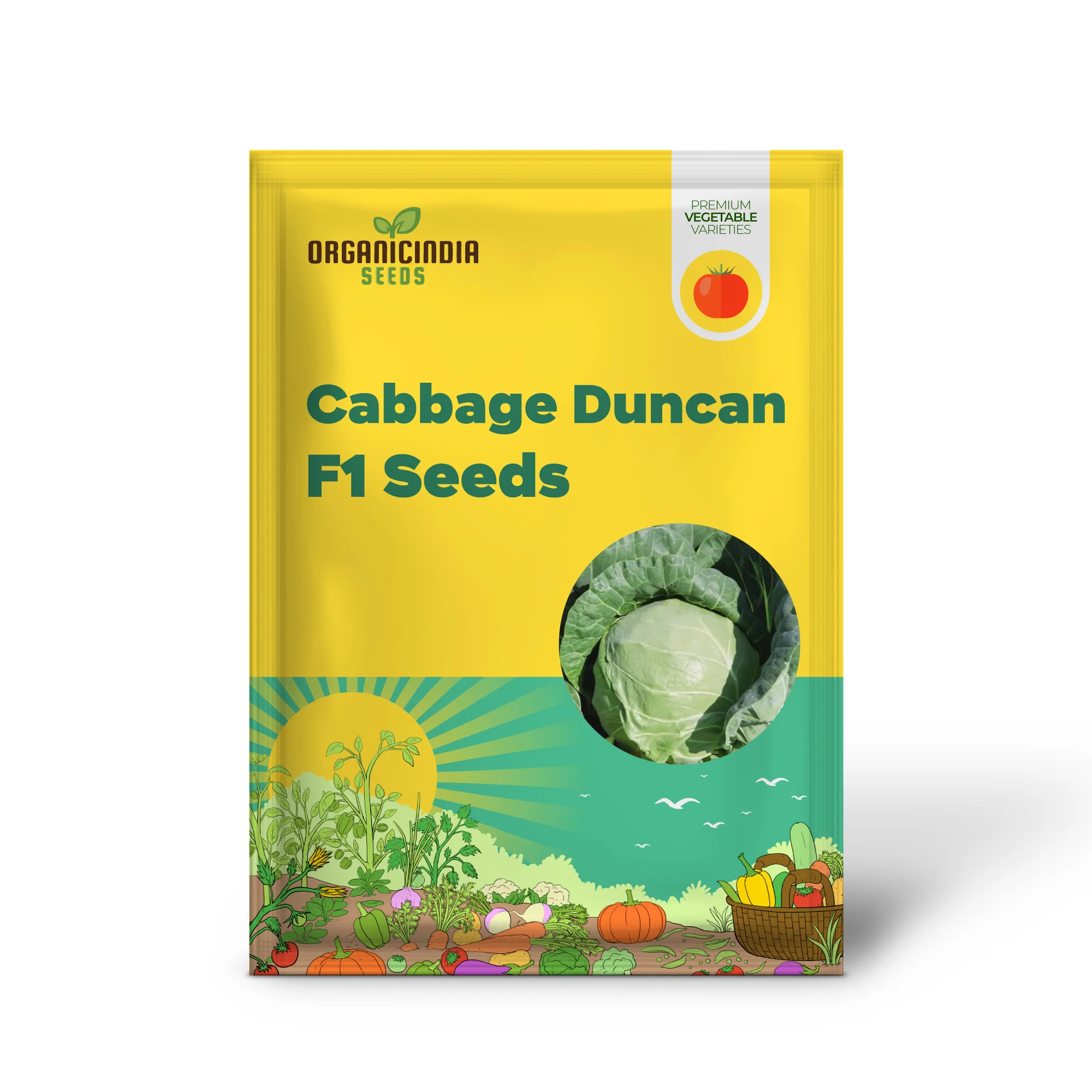 Cabbage Duncan F1 Seeds For Planting - Organic, High Yield, Easy to Grow - Image 2