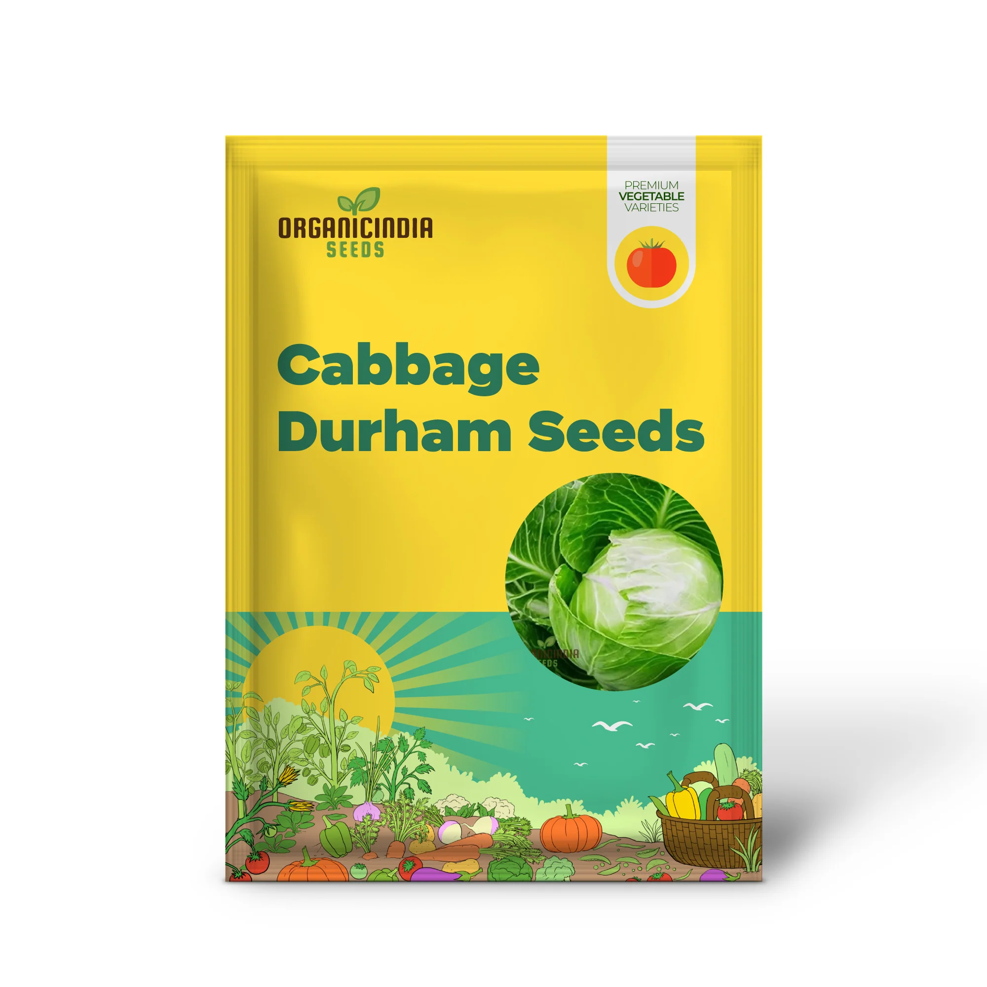 CABBAGE DURHAM EARLY Seeds | Premium Garden Seeds for Your Best Harvest - Image 2