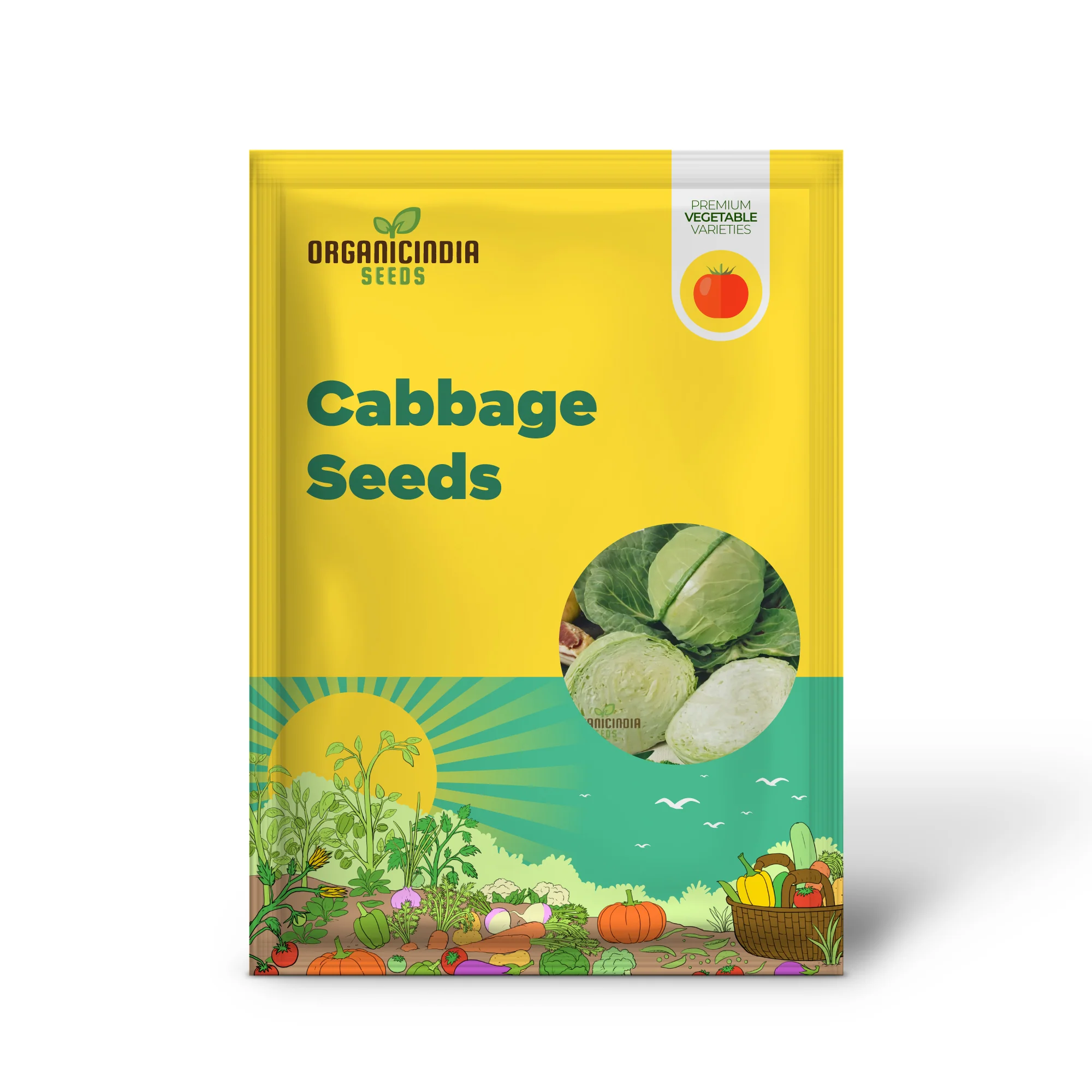Cabbage Golden Acre Seeds for Gardening Enthusiasts - Buy Organic Seeds Online - Image 2
