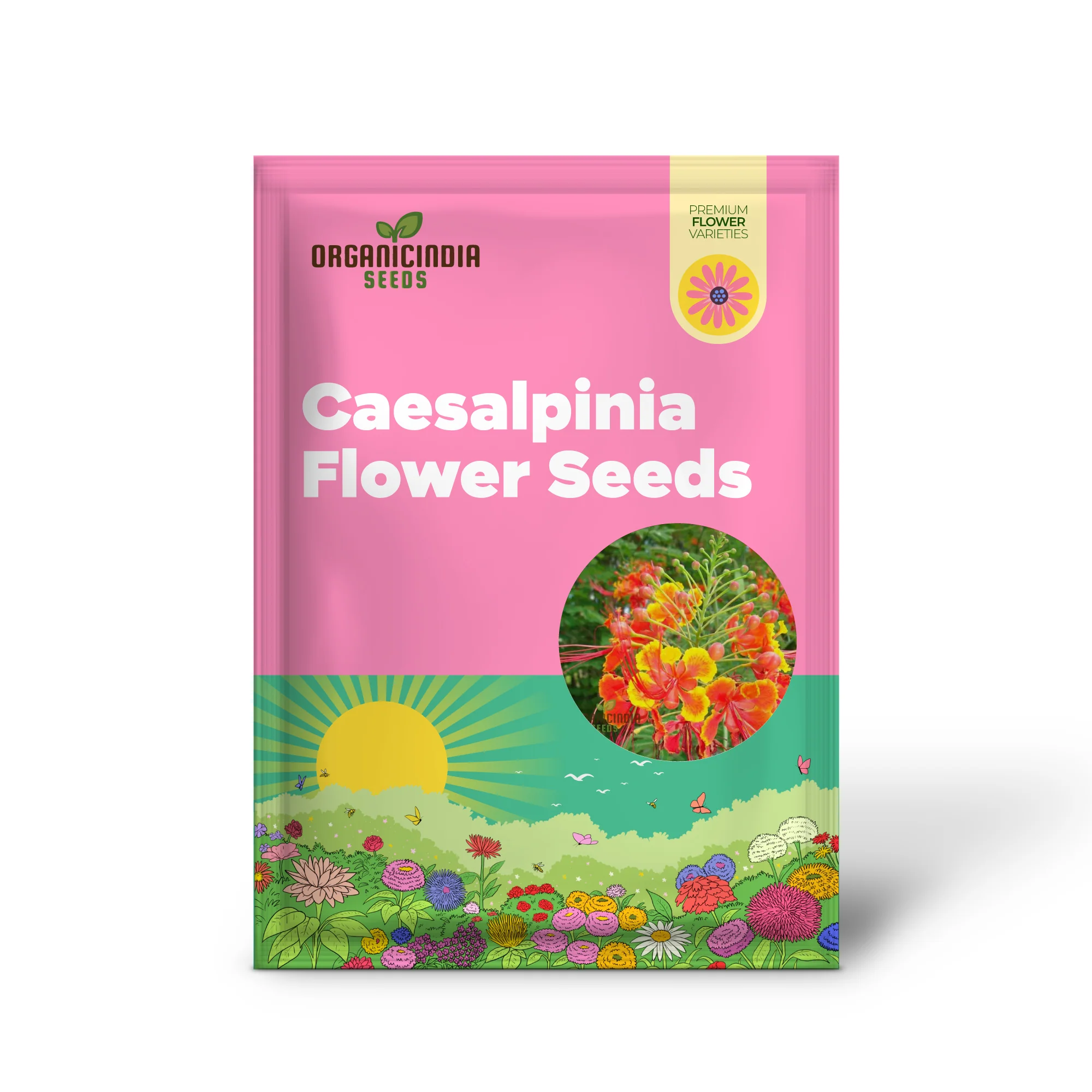 Caesalpinia Pulcherrima Flowering Seeds For Planting,Cultivate Vibrant Blooms - Image 2