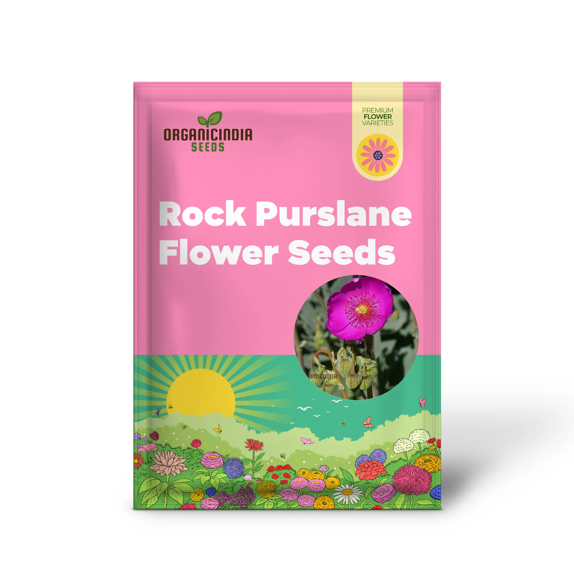 Calandrinia Grandiflora Seeds – Rock Purslane Variety for Vibrant Garden Blooms - Image 2