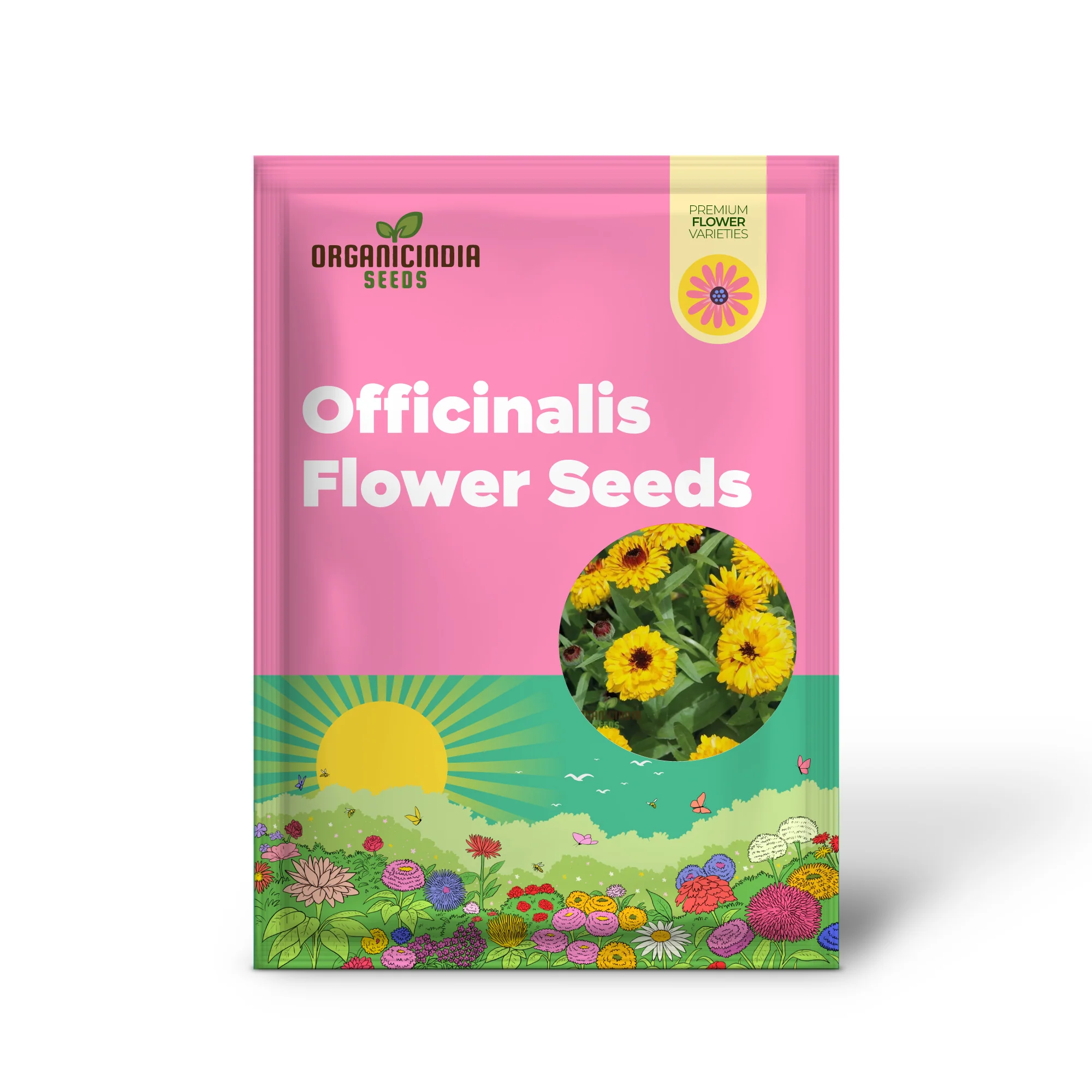 CALENDULA OFFICINALIS 'BULLS EYE' Flower Seeds for Planting, Ideal for Planting, Gardening, and Vibrant Blooms - Image 2
