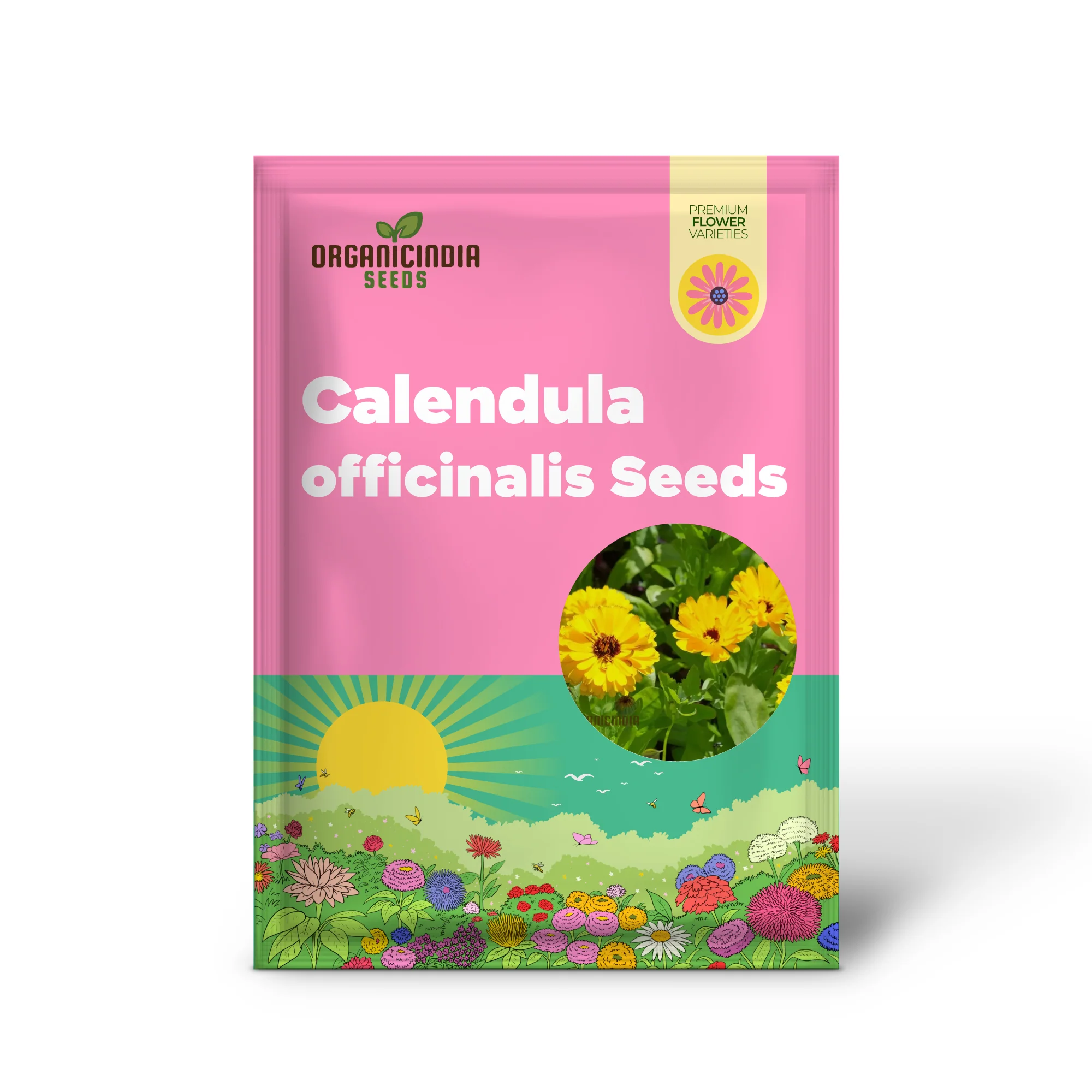 Calendula officinalis Fiesta Gitana Mix Seeds for Gardening Enthusiasts | Colorful Flower Seeds for Vibrant Garden Blooms - Image 2