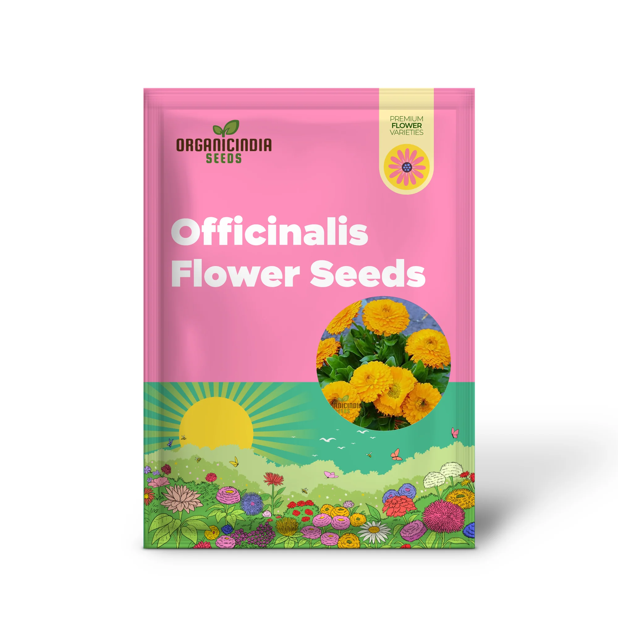 Calendula Officinalis 'Fiesta Gitana' Mixed Flower Seeds for Planting and Vibrant Garden Displays - Image 2