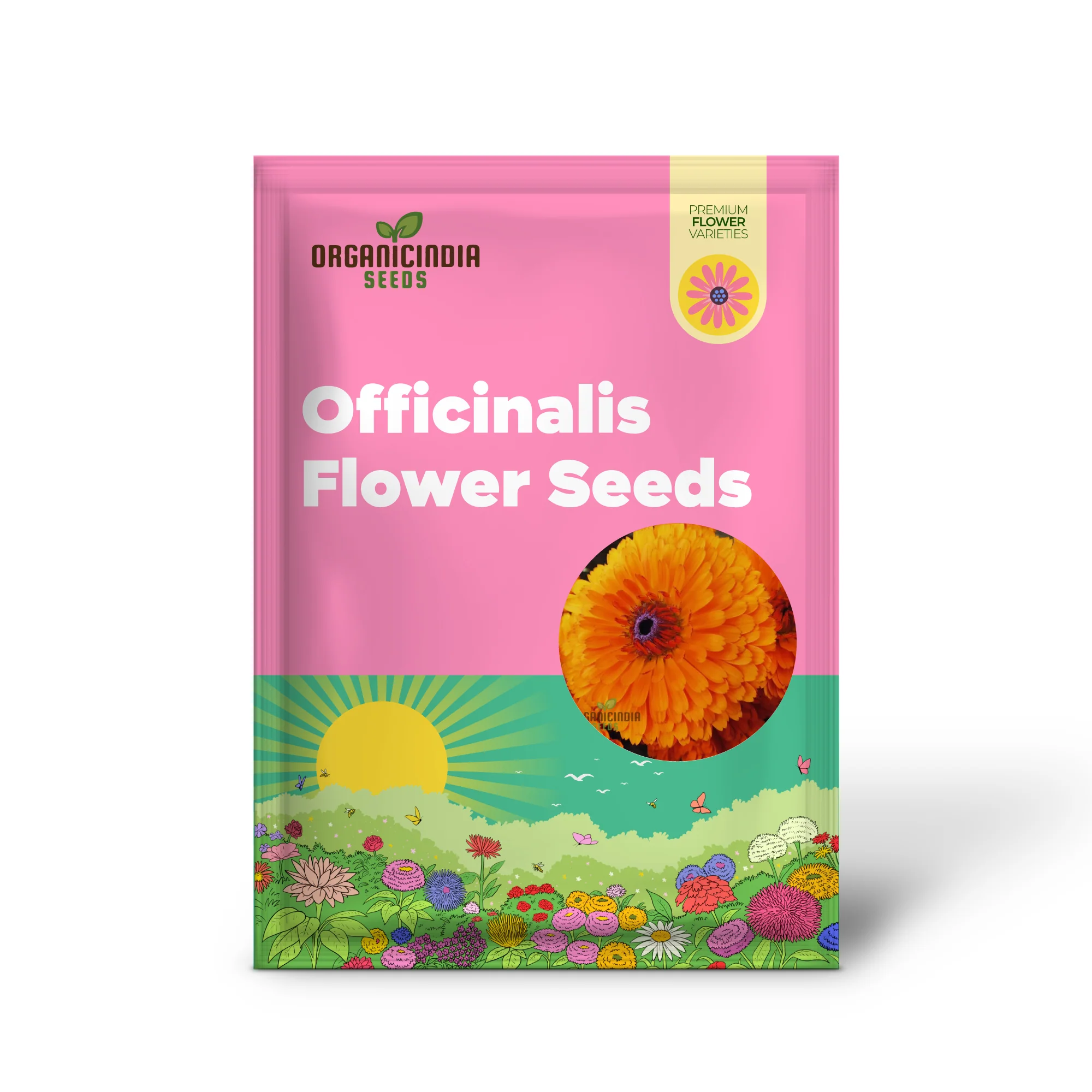 Calendula Officinalis 'Pacific Beauty Orange' Flower Seeds, Ideal for Planting and Brightening Your Garden - Image 2