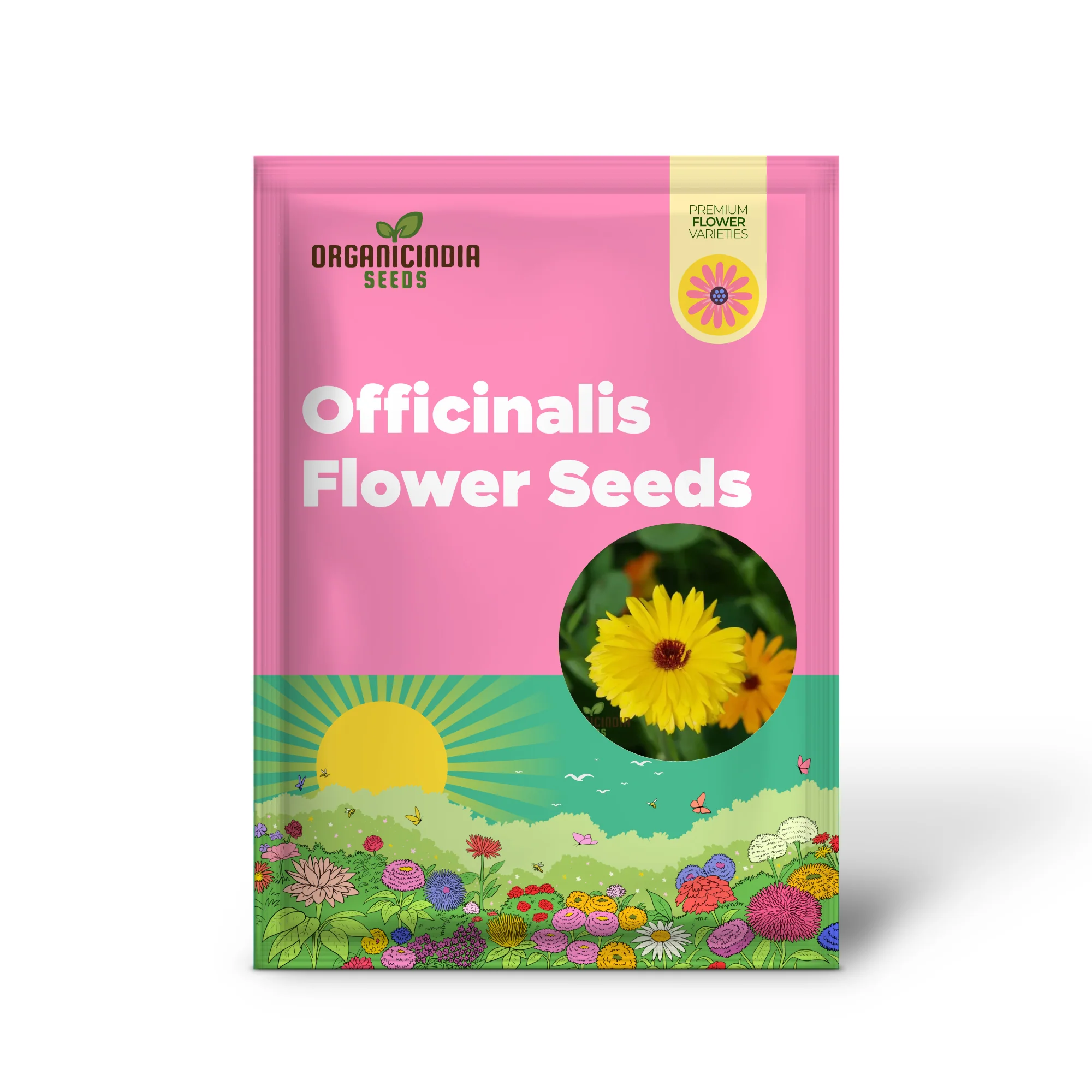Calendula Officinalis 'Wintersun' Flower Seeds, Enhance Your Garden with Vibrant Blooms - Image 2