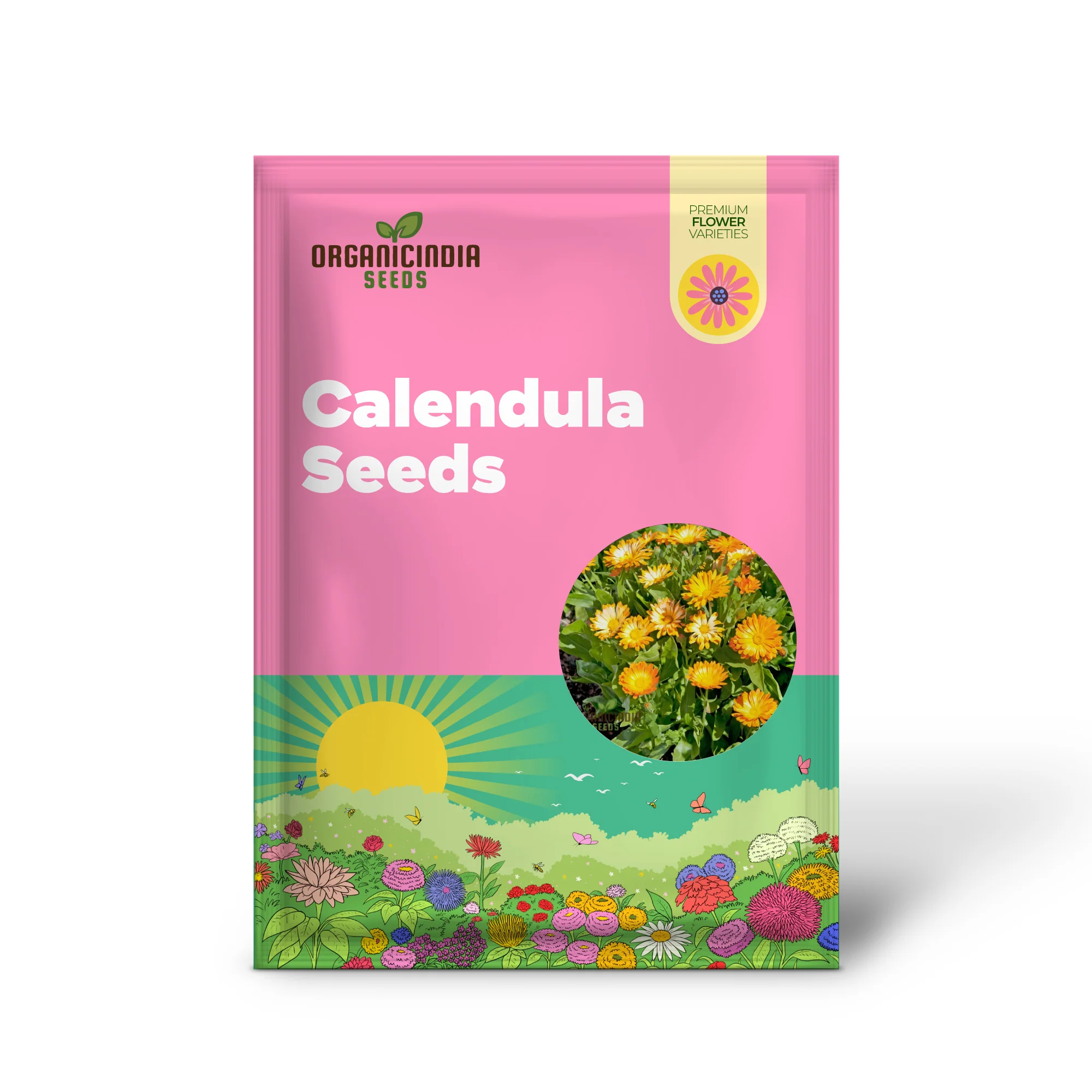 Calendula 'Oopsy Daisy' Seeds â€“ Elevate Your Gardening Experience with Cheerful Blooms and Endless Delight! - Image 2