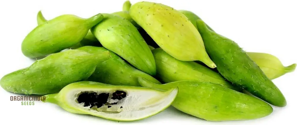 Caligula seeds Cyclanthera pedate Inca cucumber Plant Seeds (100pcs)
