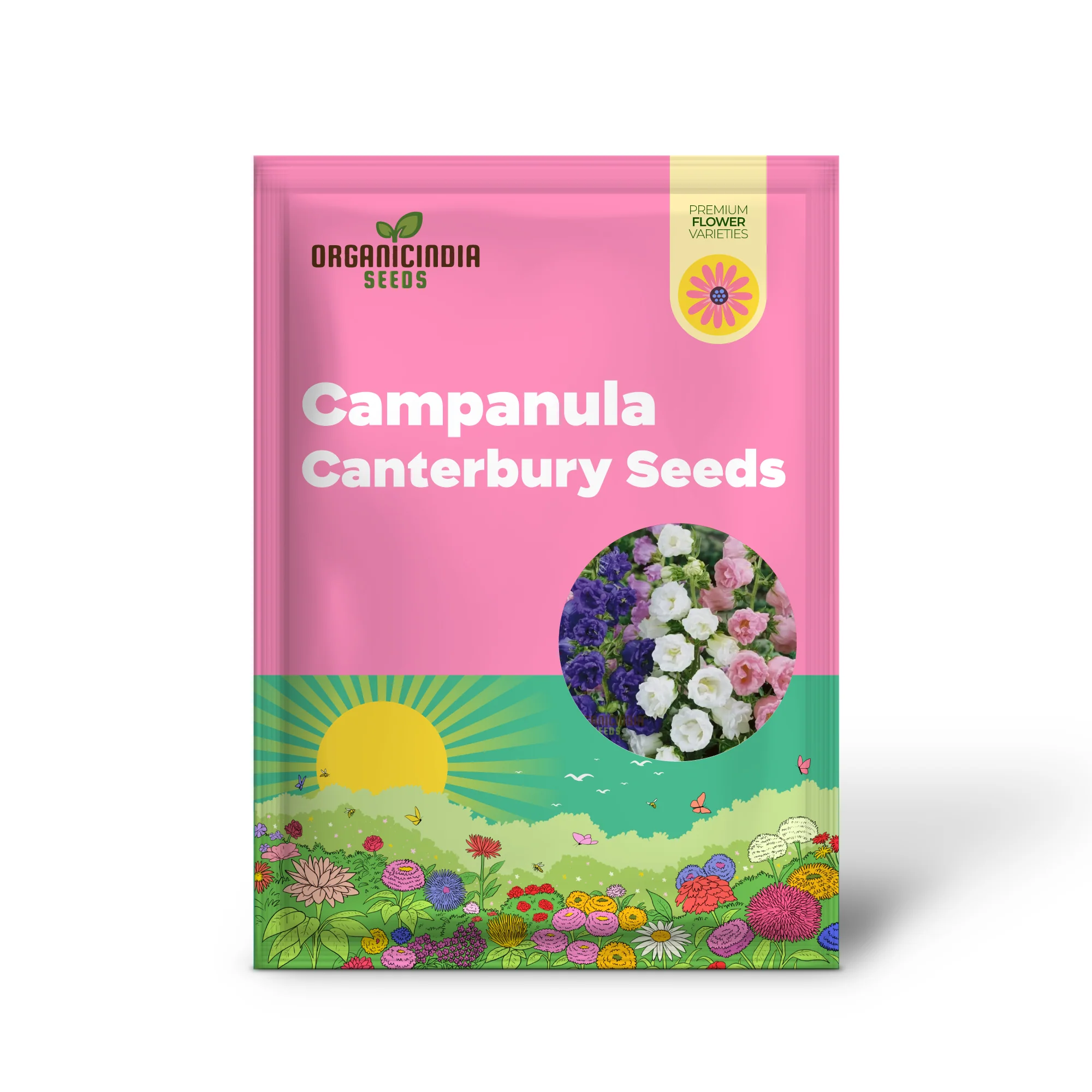 Campanula Seeds (Canterbury Bells Cup and Saucer Mix) - Colorful Tall Blooms for Gardens - Image 2