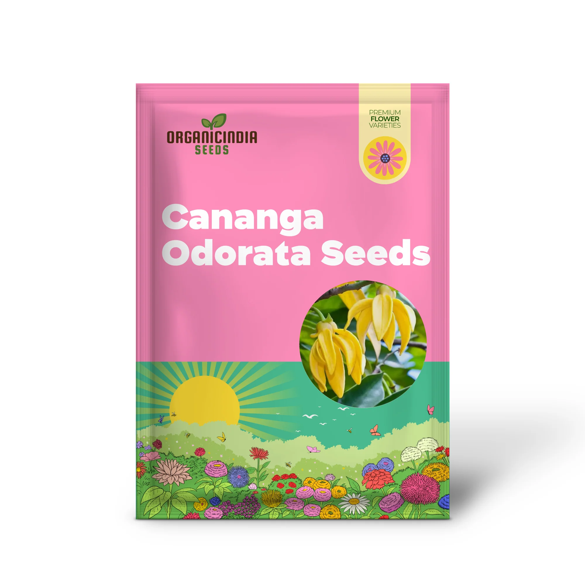 Cananga Odorata Seeds For Planting: Enhance Your Garden with Fragrant Ylang Ylang Trees and Plants - Image 2