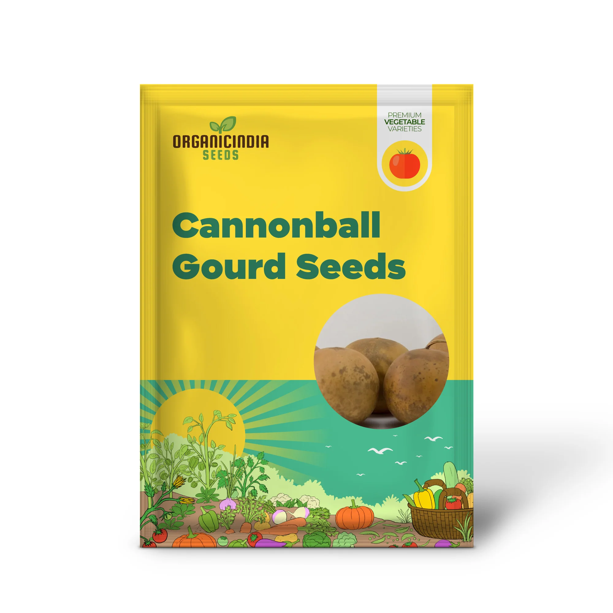 Cannonball Gourd Seeds  Decorative And Edible  Outdoor Trellis - Image 2