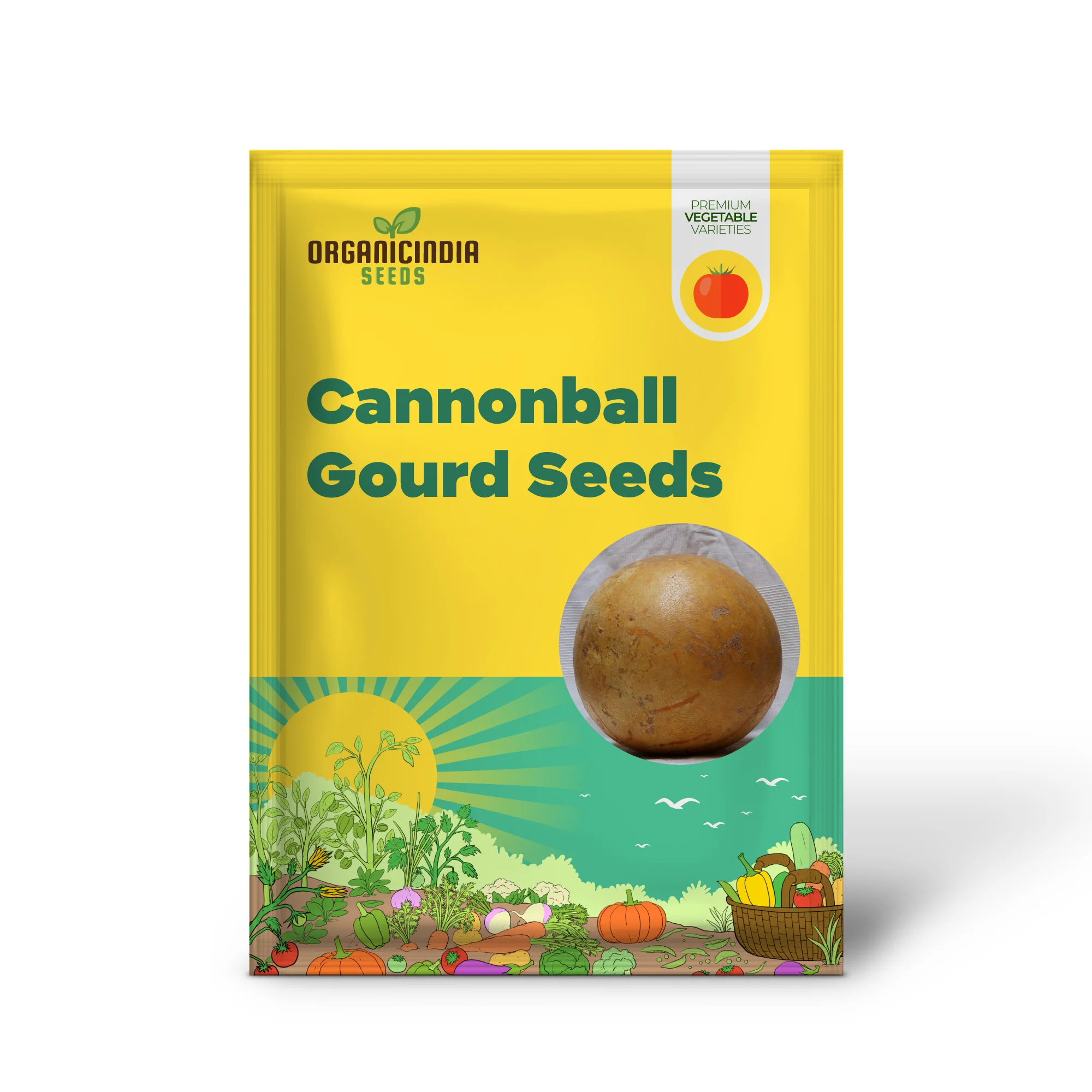 Cannonball Gourd Seeds  Ideal for Birdhouses, Ornamental Edible Garden And Outdoor Trellis - Image 2