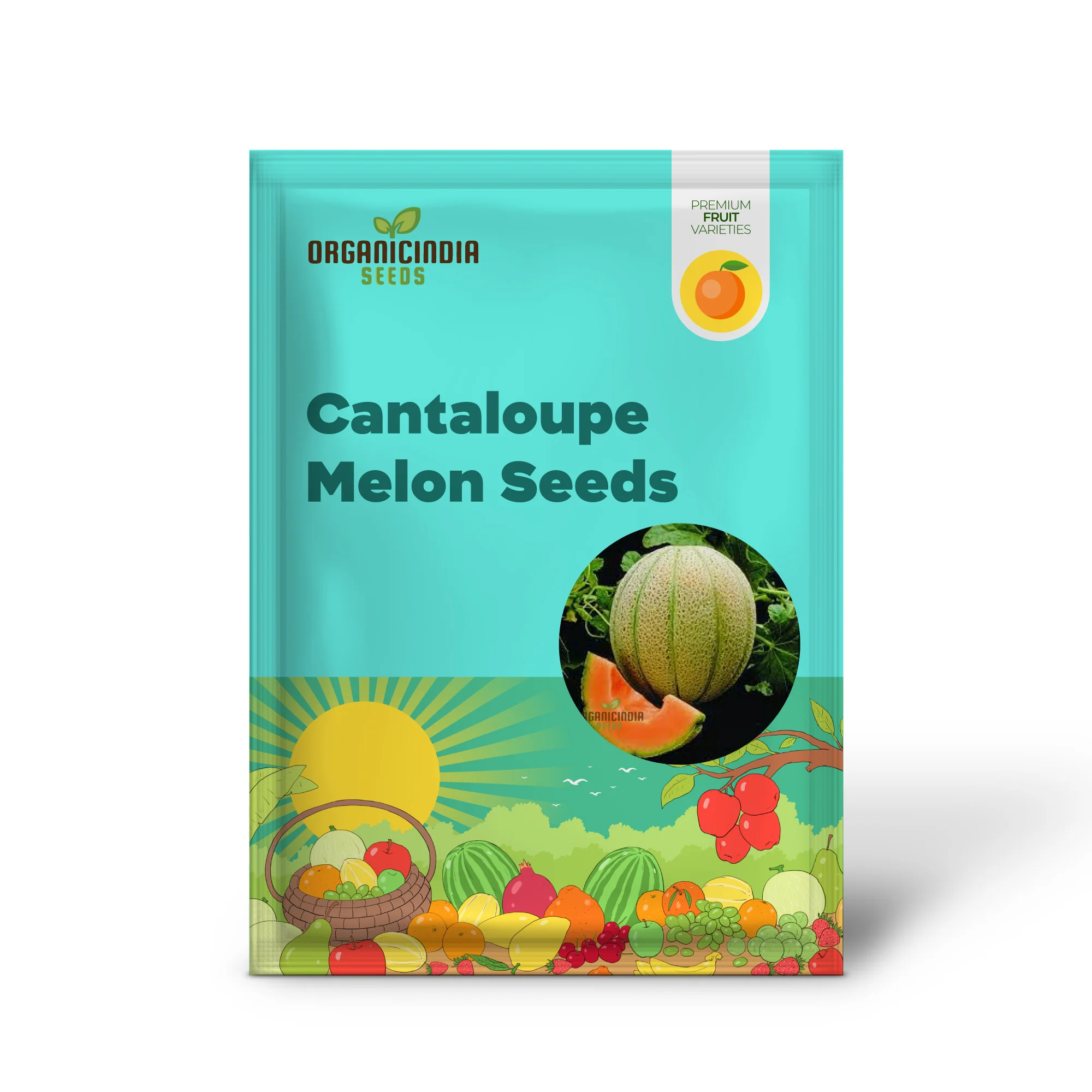 Cantaloupe Melon Seeds for Vibrant Gardening Success - Image 2