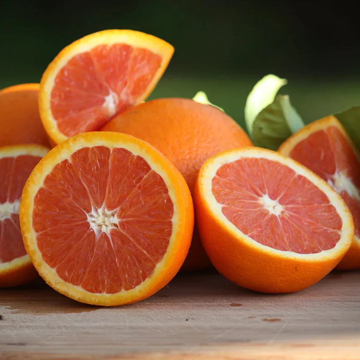 Cara Cara Orange Seeds for Planting – Grow Sweet & Juicy Pink-Fleshed Oranges