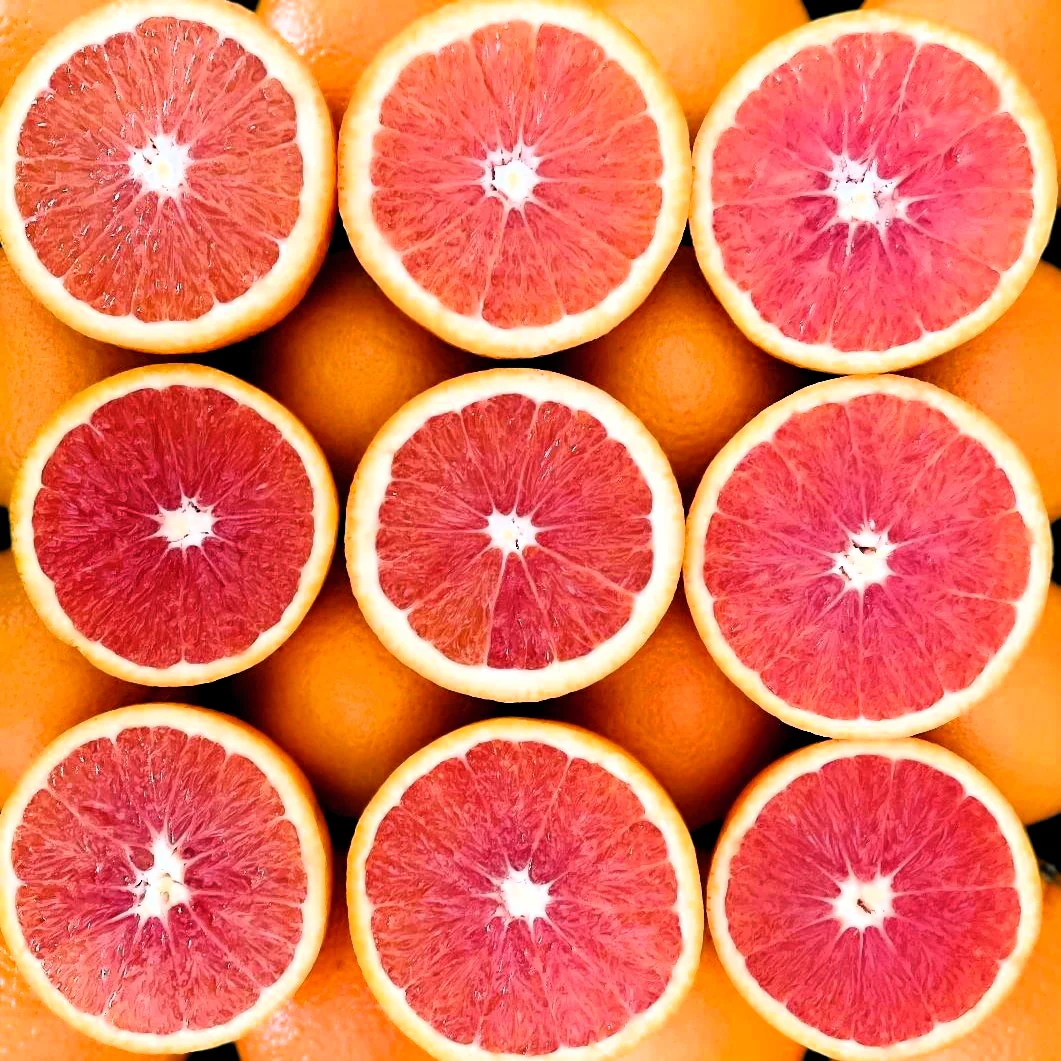 Cara Cara Orange Seeds for Planting – Grow Sweet & Juicy Pink-Fleshed Oranges - Image 2