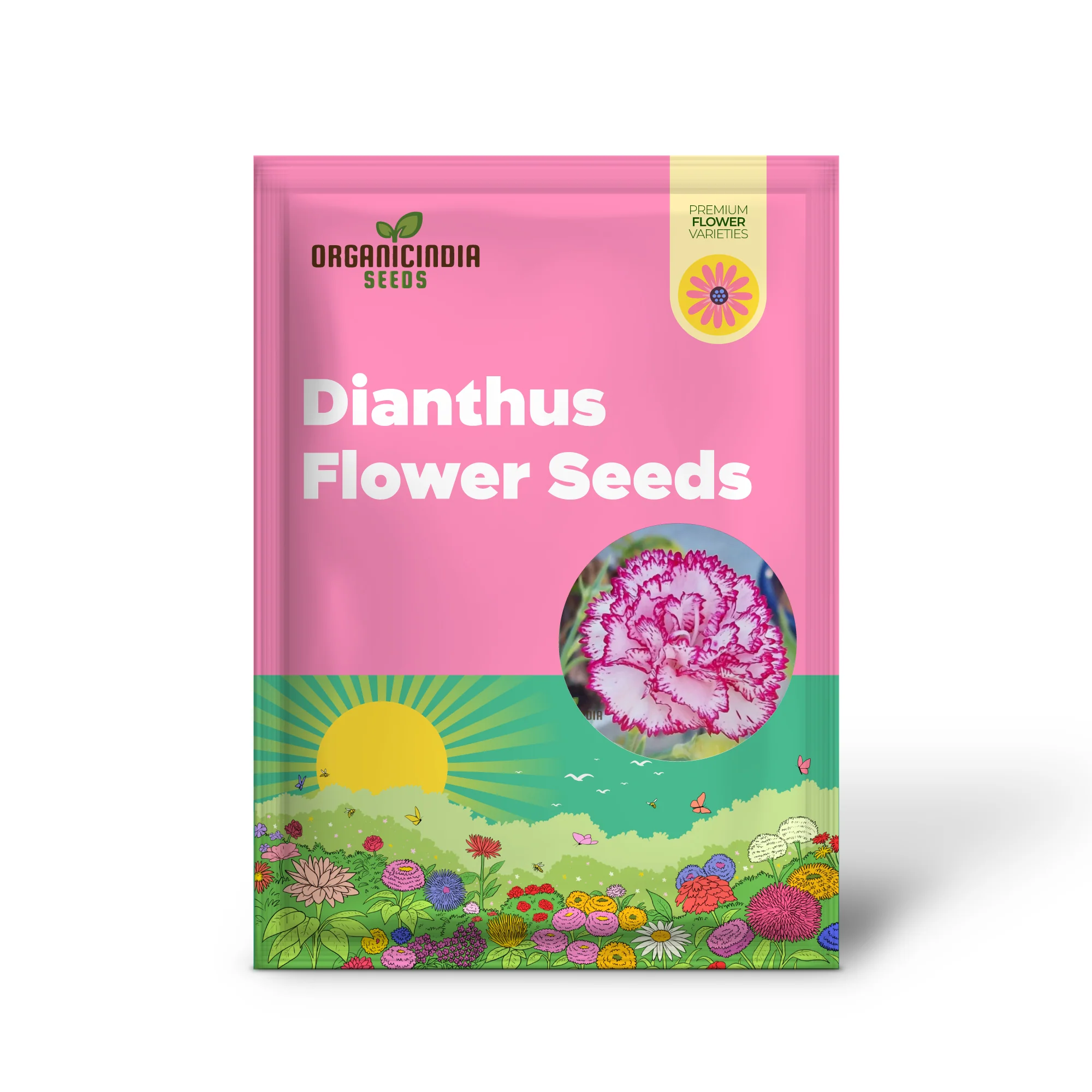 Carnation Seeds – Dianthus Caryophyllus (100 pcs) - Image 2