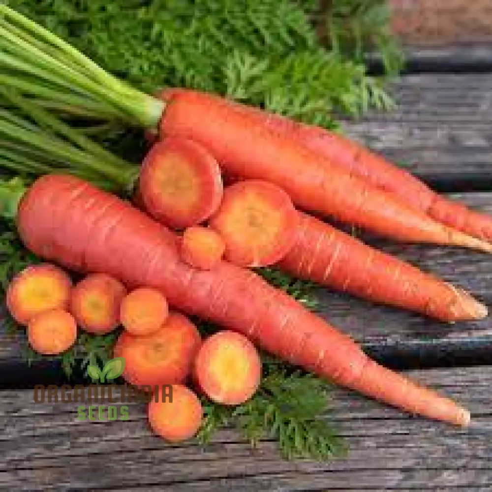 CARROT RUBY PRINCE F1 Seeds for Planting, Your Gardening Needs - Image 5