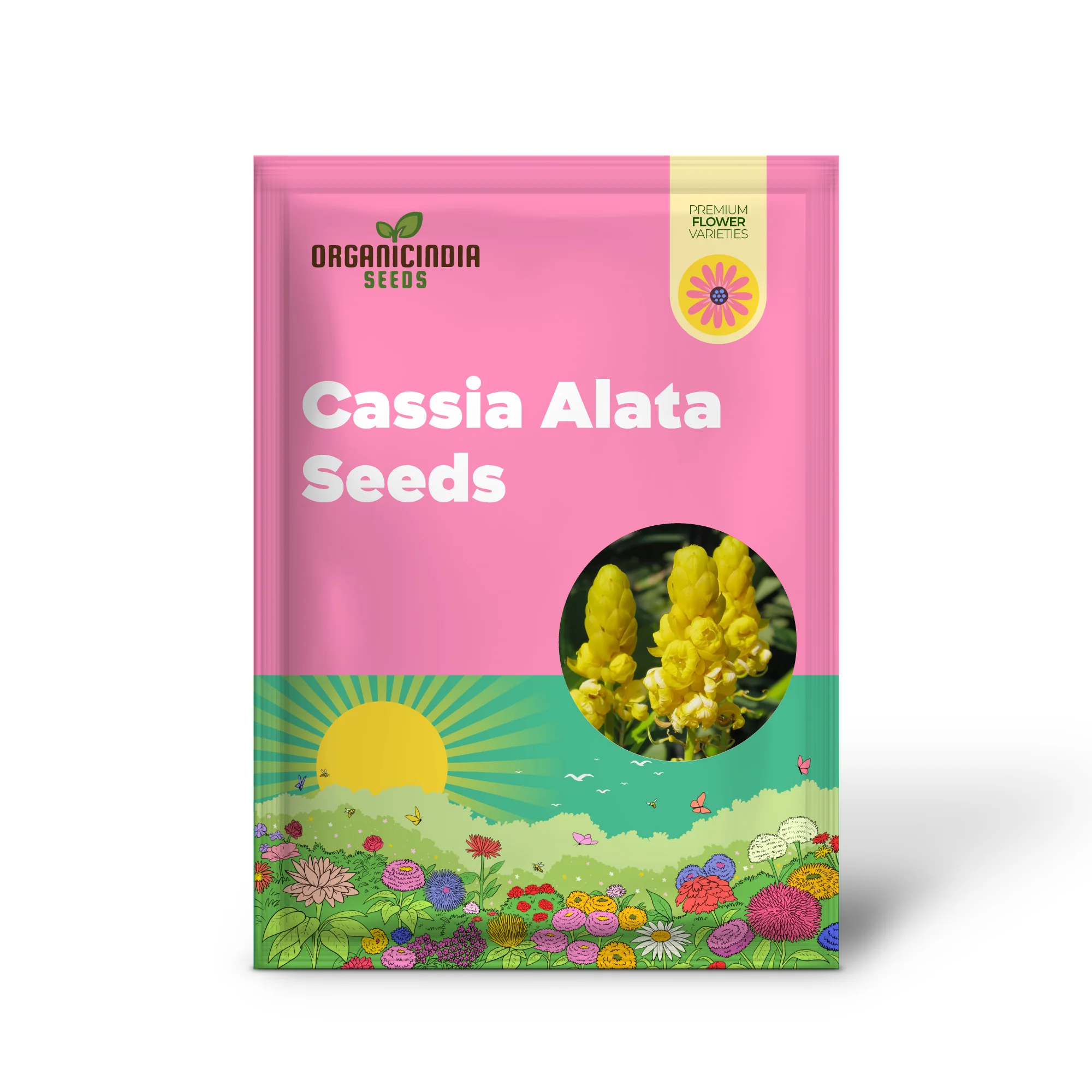 Cassia Alata Seeds – Exotic Senna Alata Evergreen Shrub for Ornamental Landscaping - Image 2