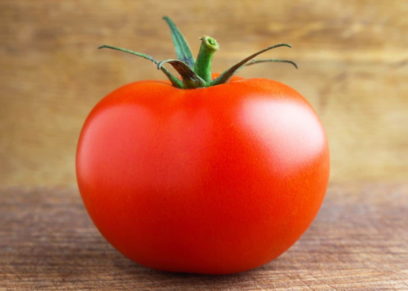 Celebrity Tomato Seeds – High-Yield, Disease-Resistant Hybrid for Juicy, Flavorful Harvests - Image 3
