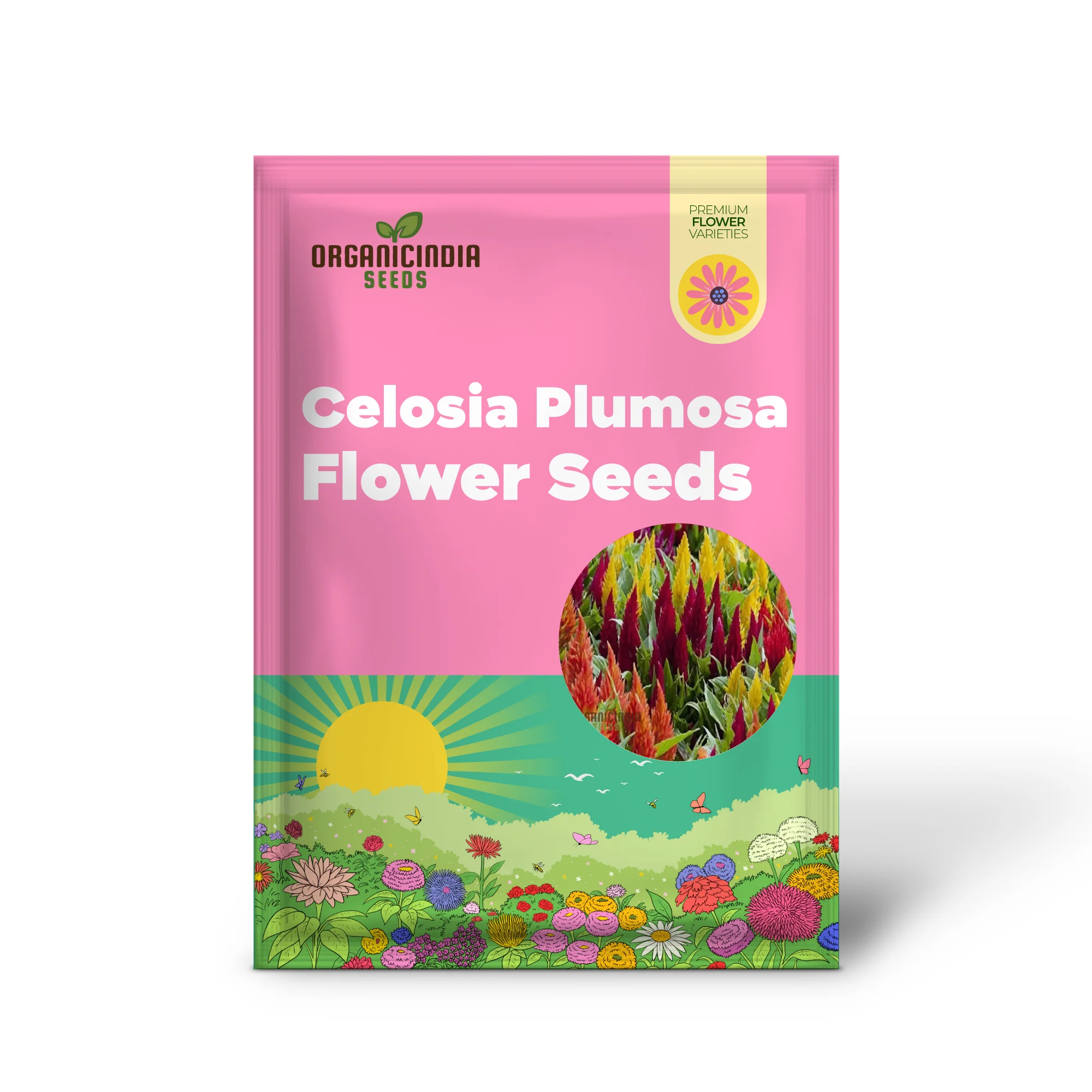 Celosia Plumosa Pampus Mixed Flower Seeds, Vibrant Colors, Long-Lasting Blooms, Ideal for Gardening - Image 2
