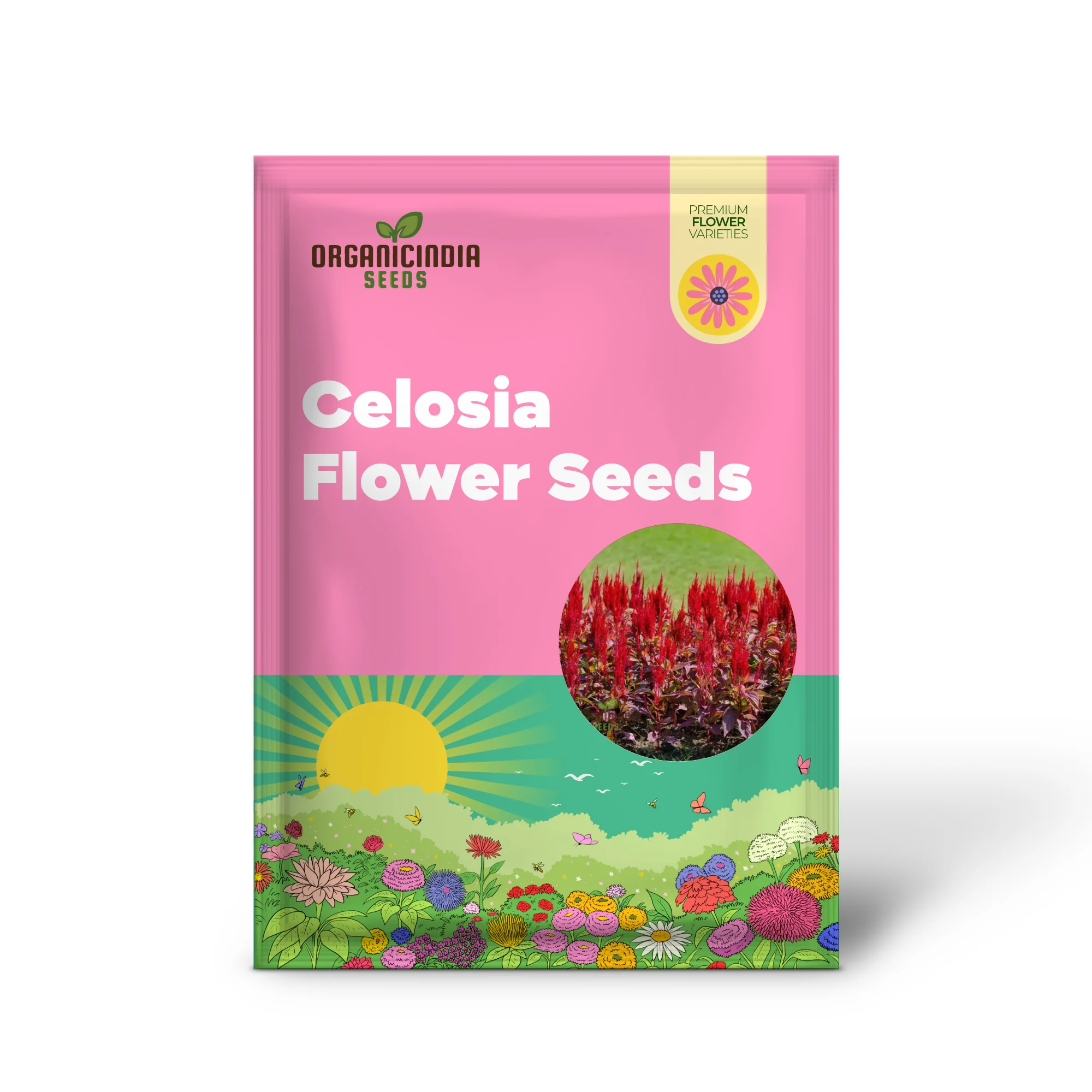 Celosia Red Fire Flower Seeds - Vibrant Blooms, Easy to Grow, Stunning Addition to Any Garden - Image 2