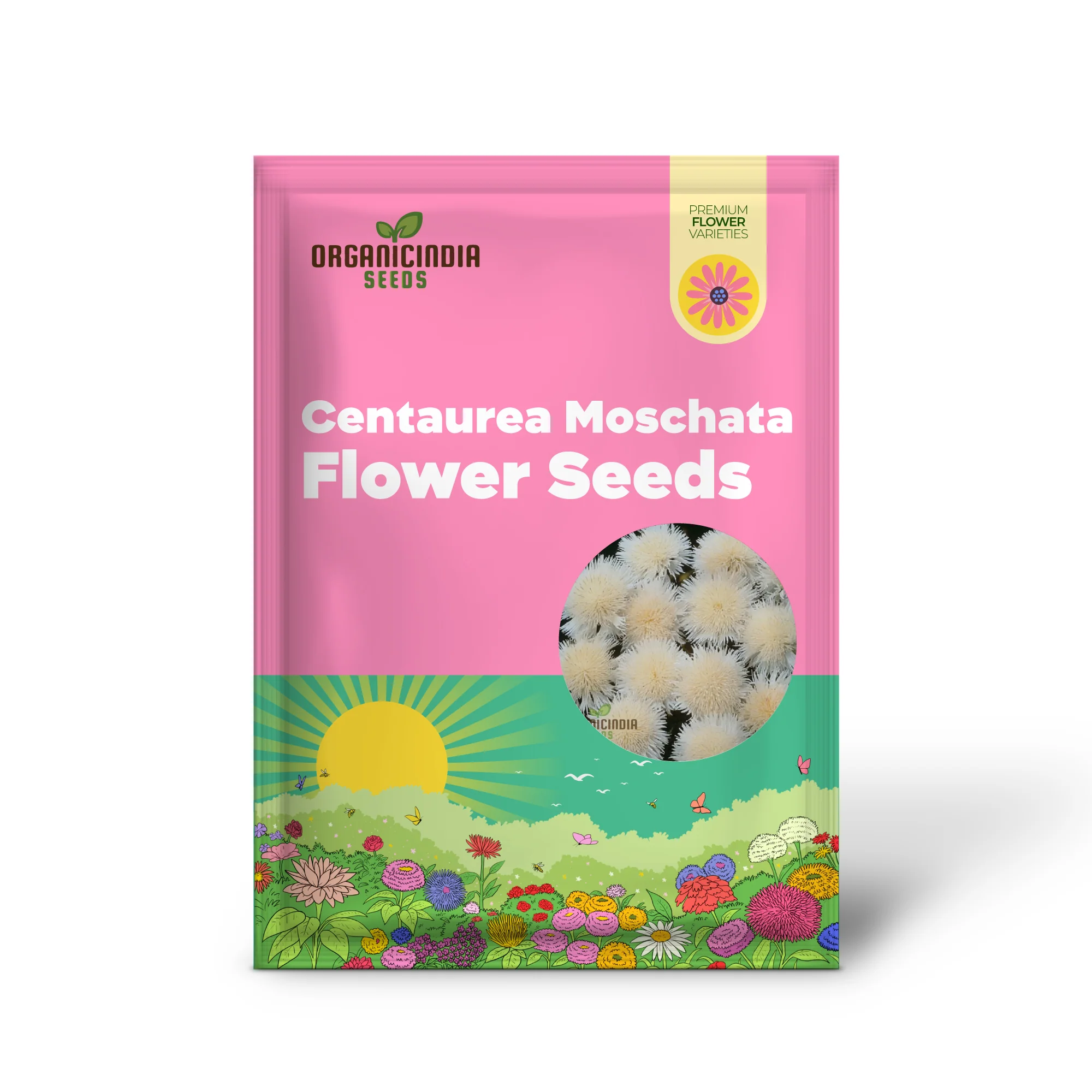 Centaurea Moschata White Flower Seeds, Premium Quality for Stunning Garden Blooms, Ideal for Gardening - Image 2