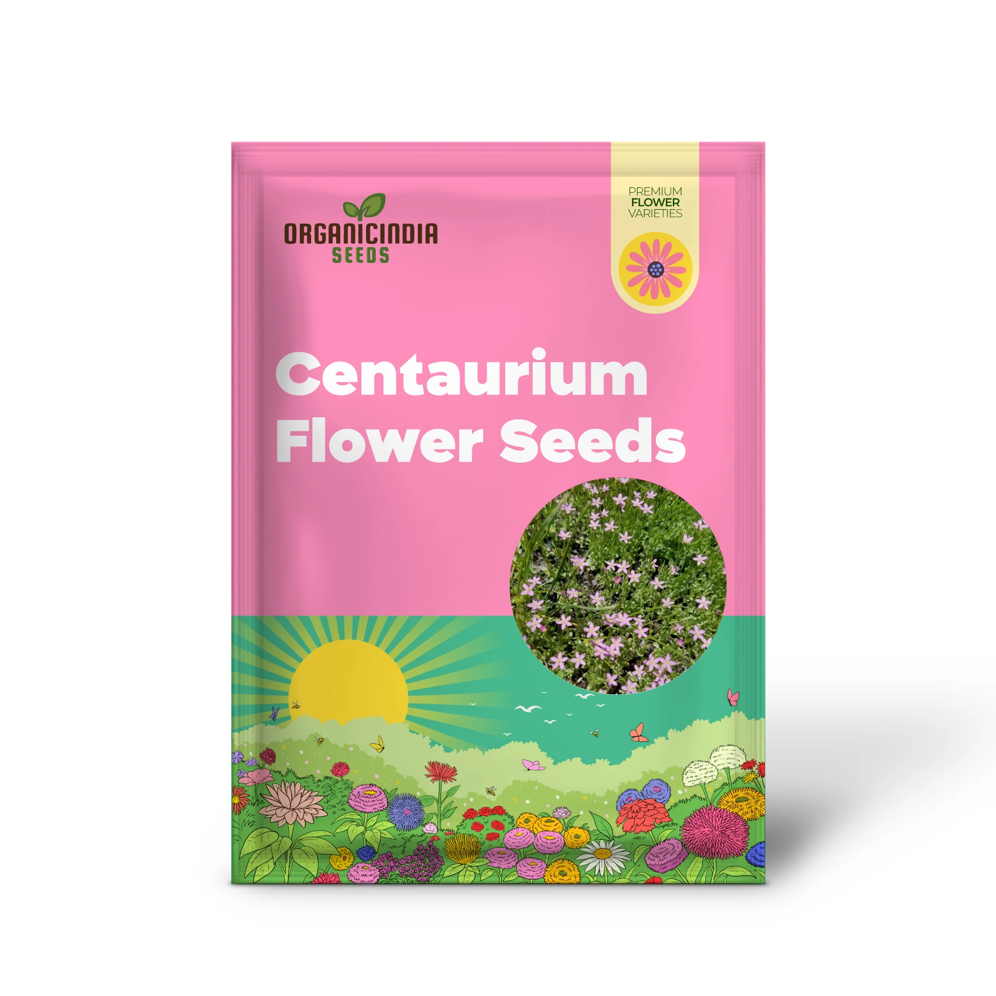 Centaurium Scilloides Seeds – Premium Wildflower Variety for Beautiful Garden Blooms - Image 2