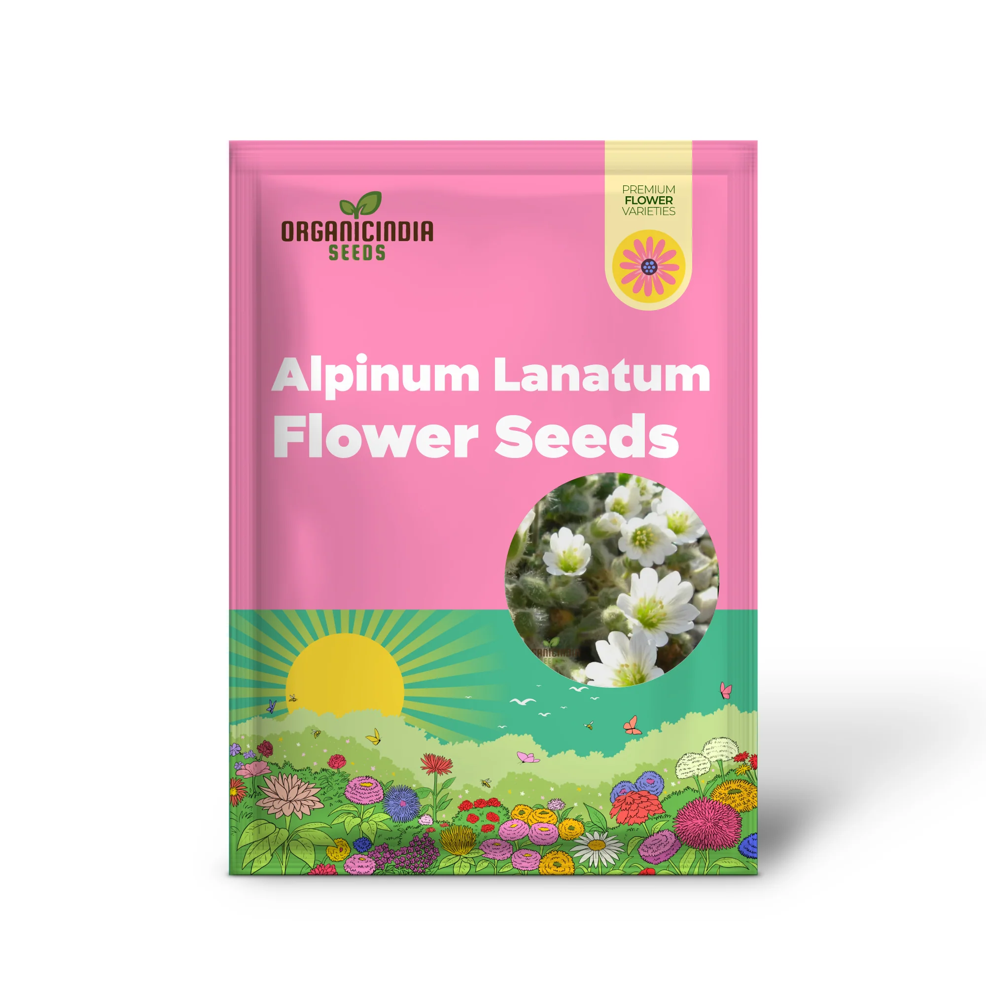 Cerastium Alpinum Lanatum Flower Seeds, Premium Quality Seeds for Beautiful Alpine Garden Blooms - Image 2