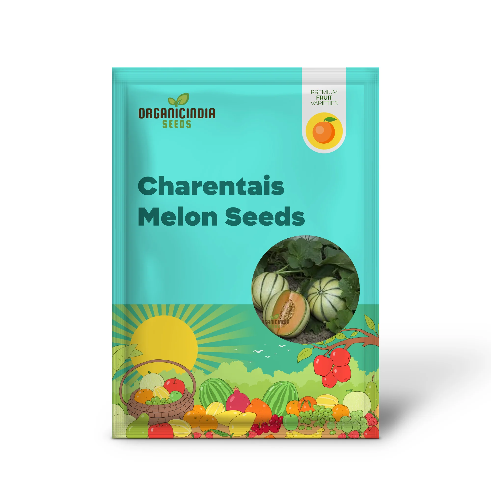Charentais Melon Seeds for Your Bountiful Garden - Image 2