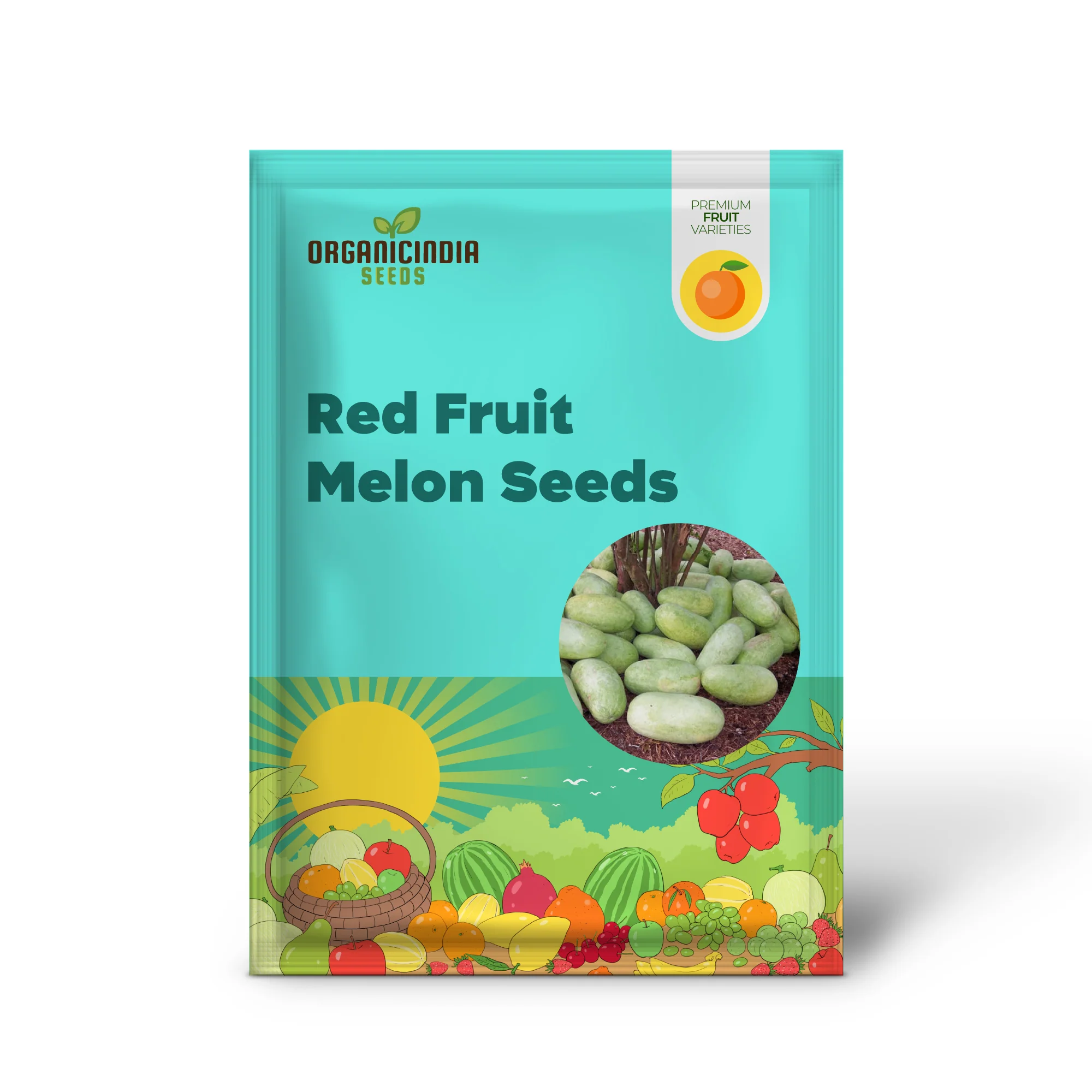 Charleston Gray Watermelon (Citrullus lanatus) – Red Fruit Melon Seeds - Image 2