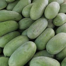 Charleston Gray Watermelon (Citrullus lanatus) – Red Fruit Melon Seeds - Image 4
