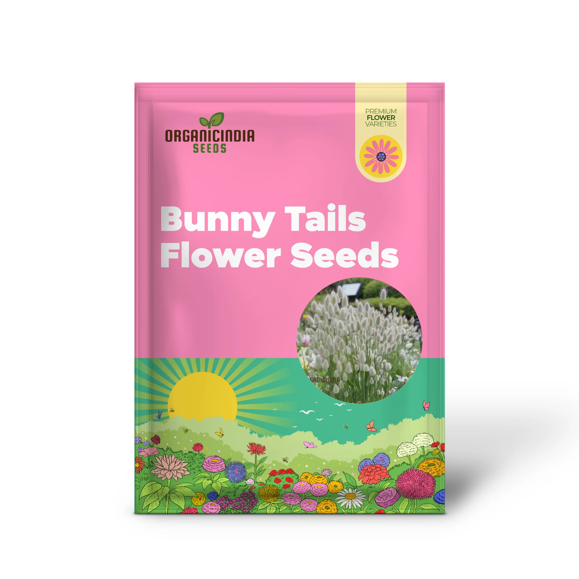 Charming Bunny Tails Flower Seeds, Enhance Your Garden with Delightful Blossoms, Perfect for Planting and Gardening Enthusiasts - Image 2