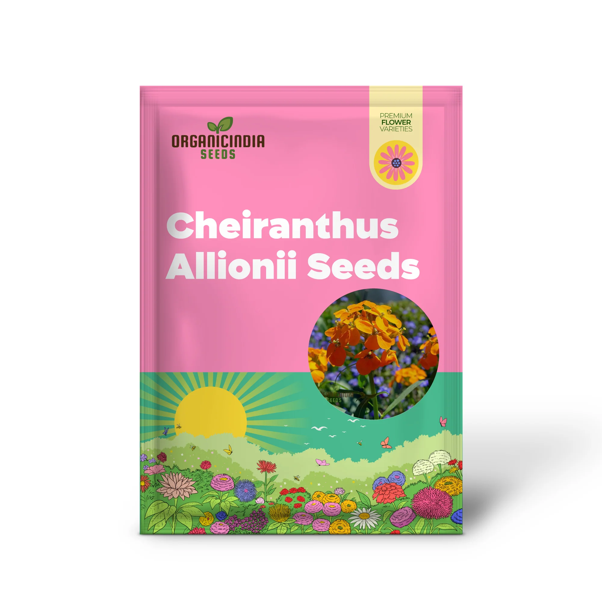 Cheiranthus Allionii Seeds - Grow Vibrant and Fragrant Wallflower Allionii in Your Garden - Image 2
