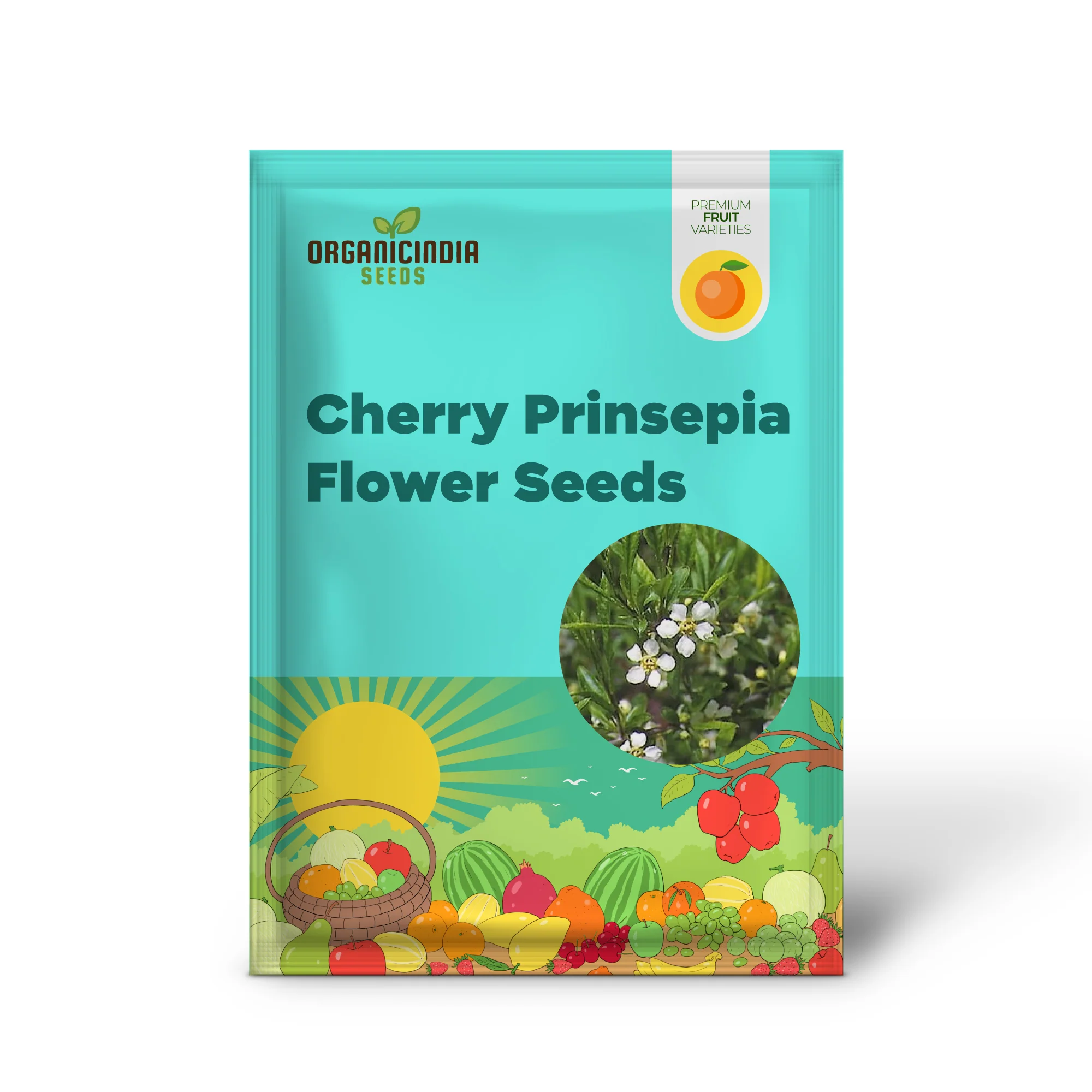 Cherry Prinsepia (Chinese Sinensis) – Edible Red Fruit Tree Shrub Flower Seeds - Image 2