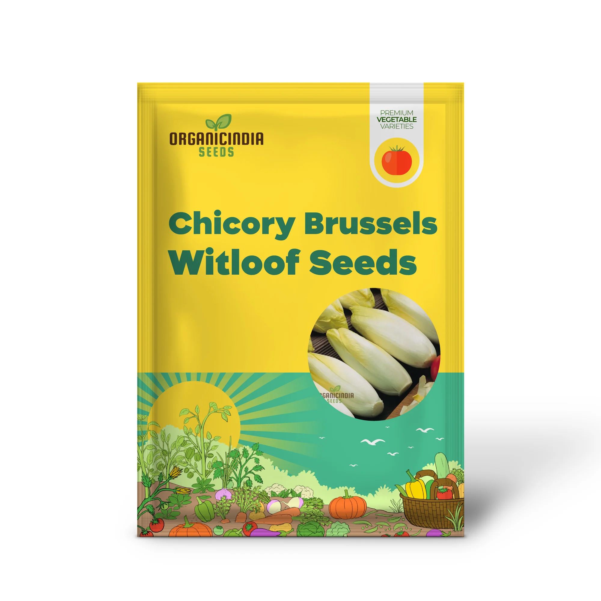 Chicory Brussels Witloof Seeds for Home Gardening - Heirloom Non-GMO Seeds with Bitterness for Culinary Use - Image 2