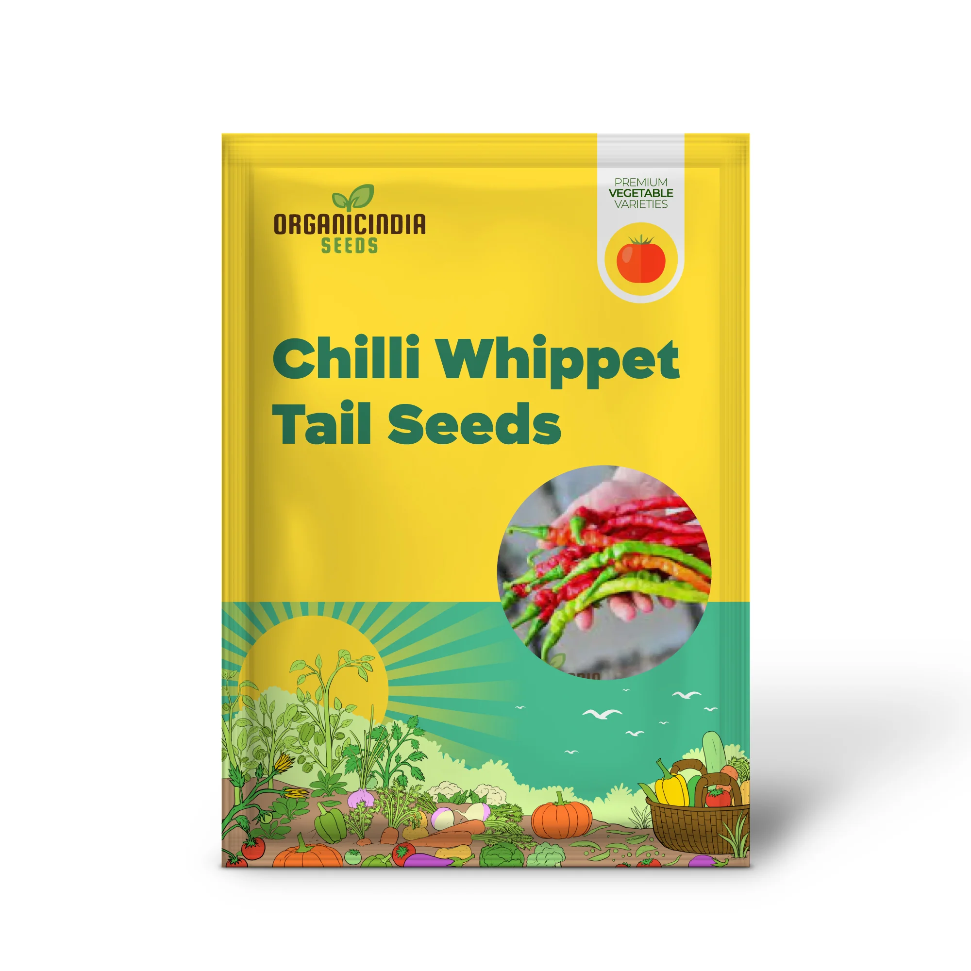 Chilli - Bangalore Whippet's Tail Seeds for Planting and Gardening - Image 2
