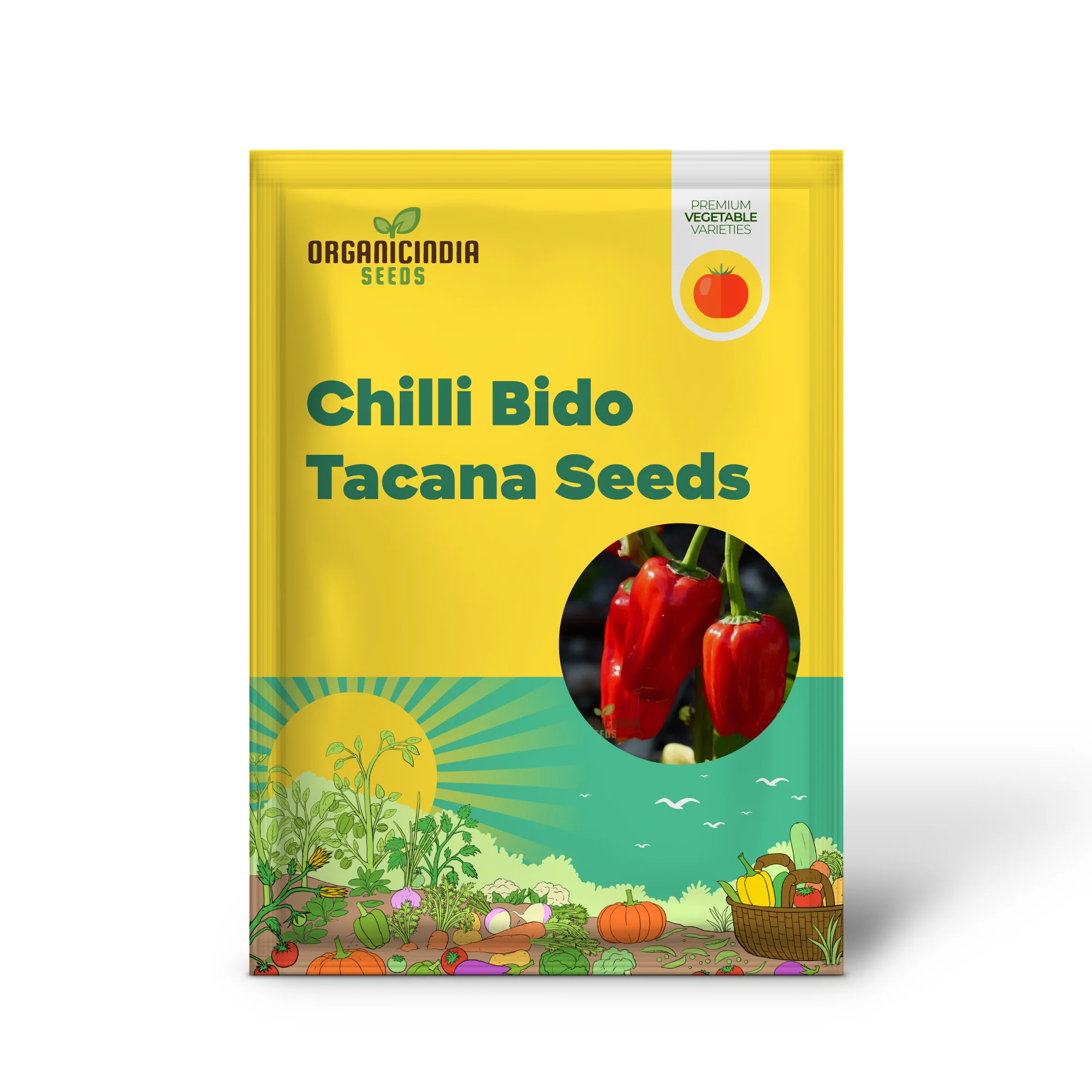 Chilli - Bido Tacana RED Seeds for Planting and Gardening - Organic Seeds - Image 2