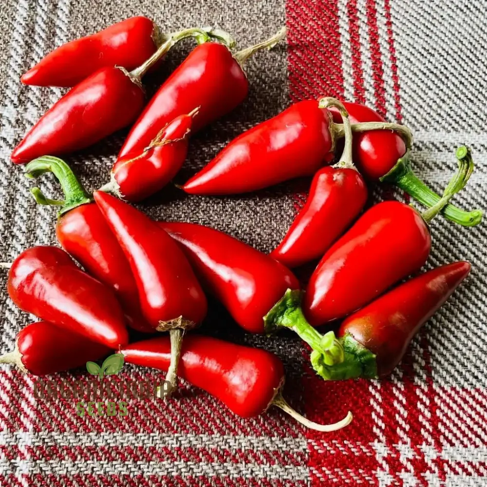 Chilli - Little Hottie F1 Seeds for Planting and Gardening | Premium Quality Seeds - Image 4