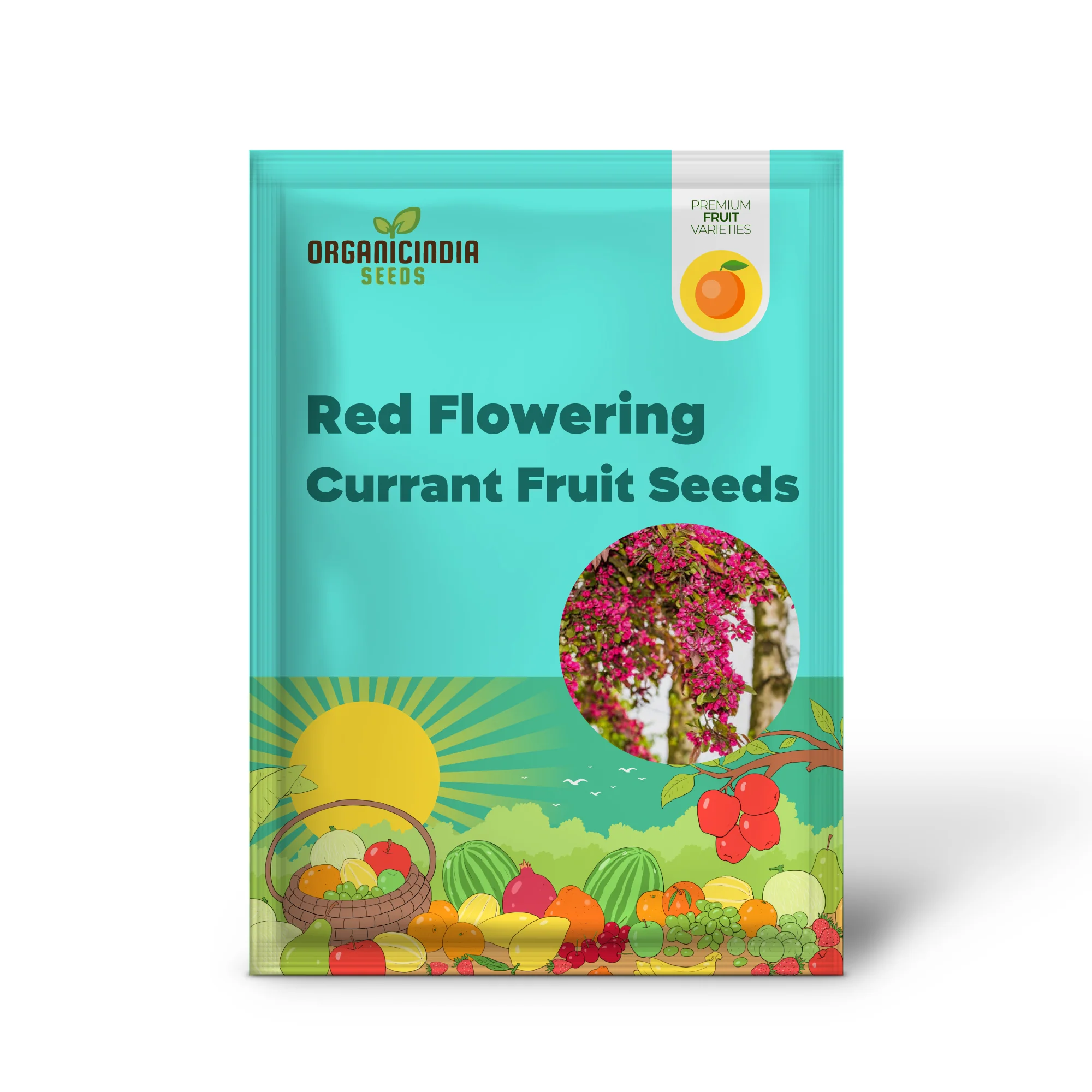Chinese Pistachio Tree Seeds - Image 2