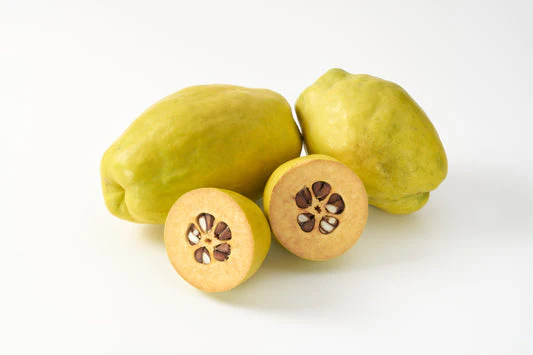 Chinese Quince Fruit Seeds - Image 6