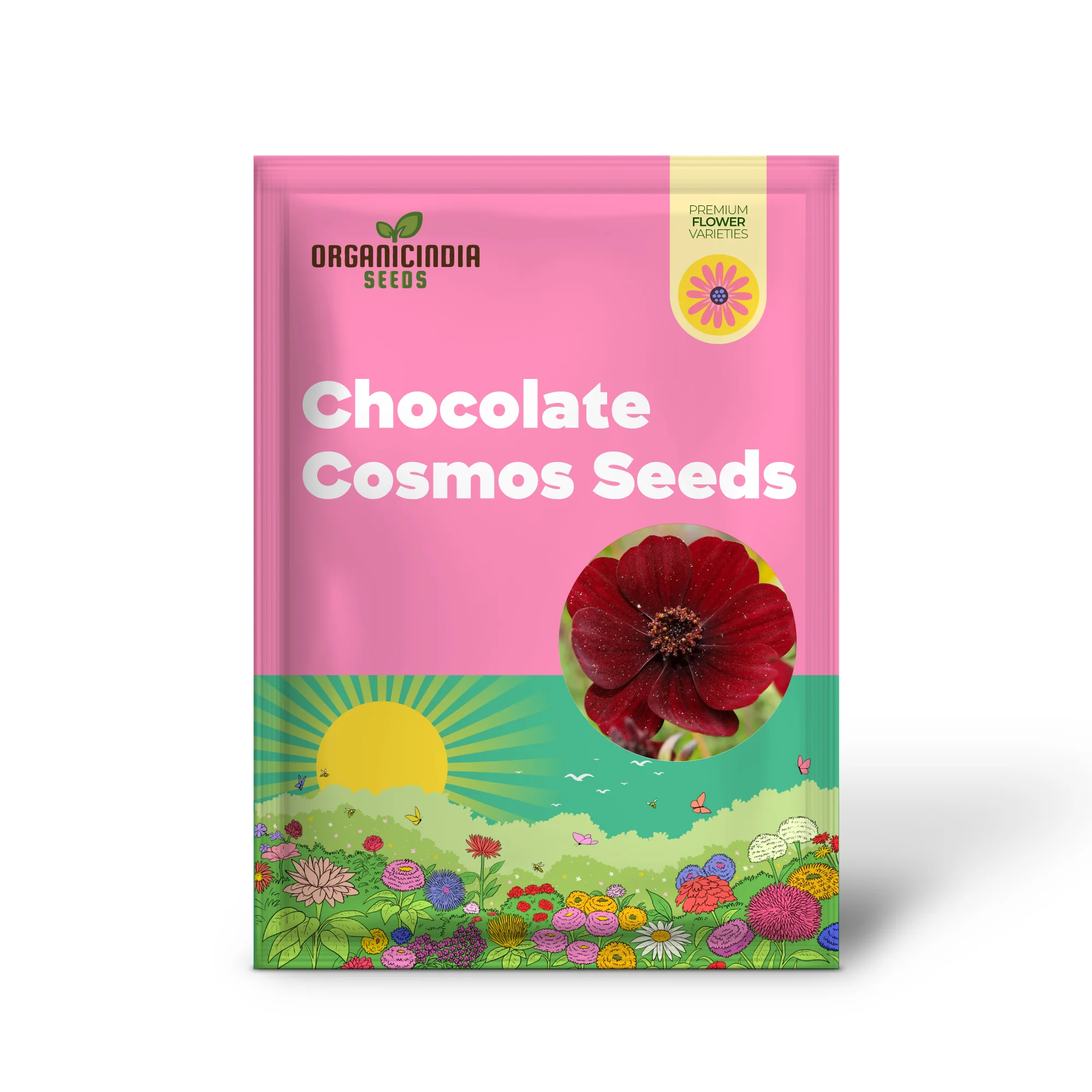 Chocolate Cosmos Seeds Cosmos Atrosanguineus Perennial with Chocolate Fragrance, Butterfly Attracting Ornamental Flower for Gardens And Containers - Image 2