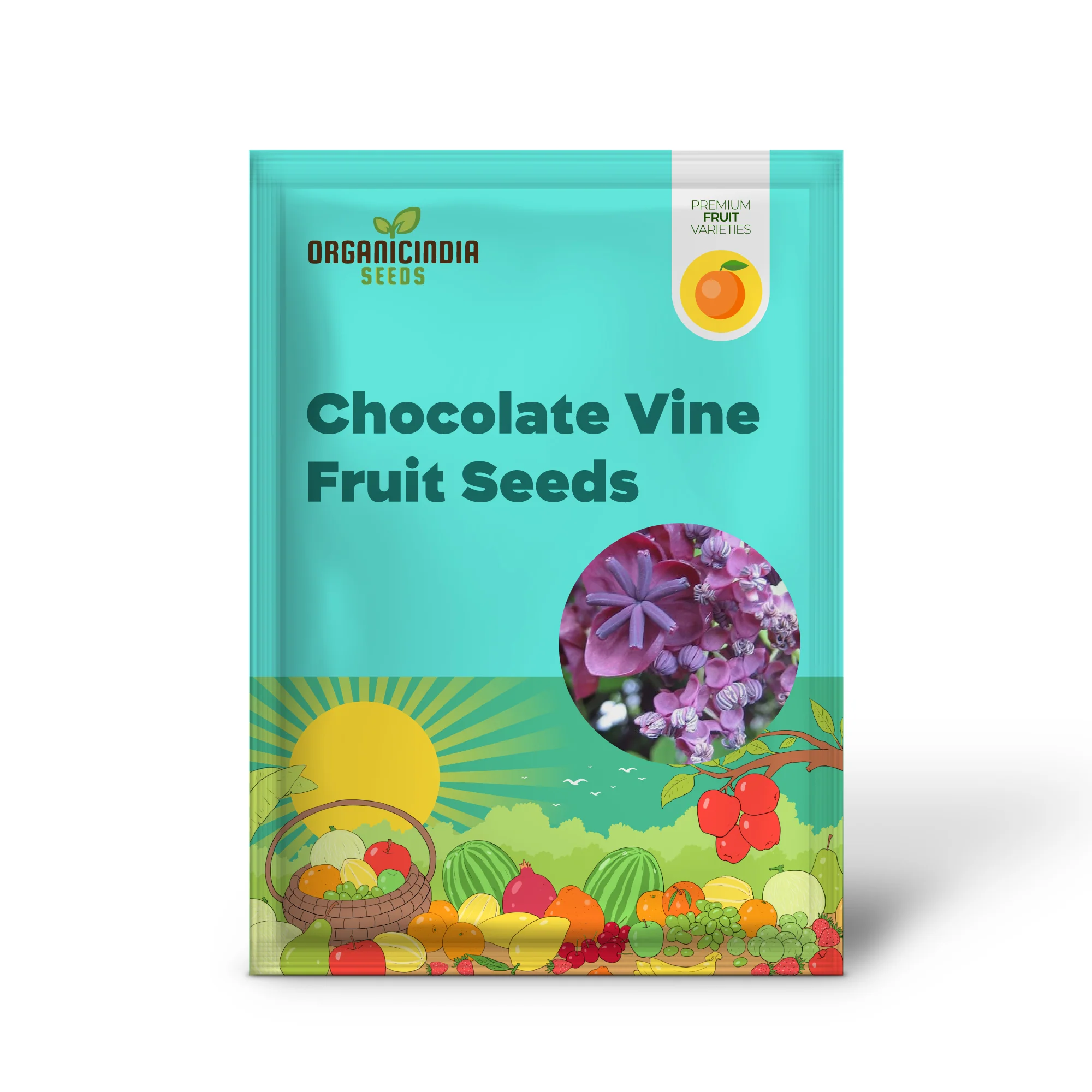 Chocolate Vine Fruit Seeds - Image 2